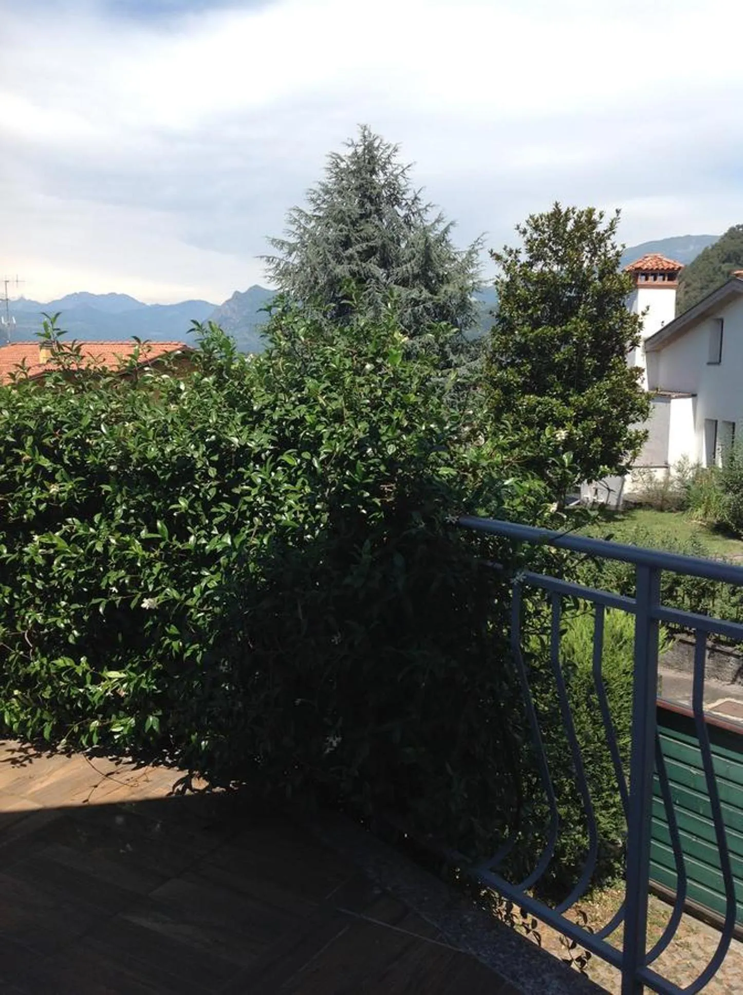 Garden view in Il Gelsomino