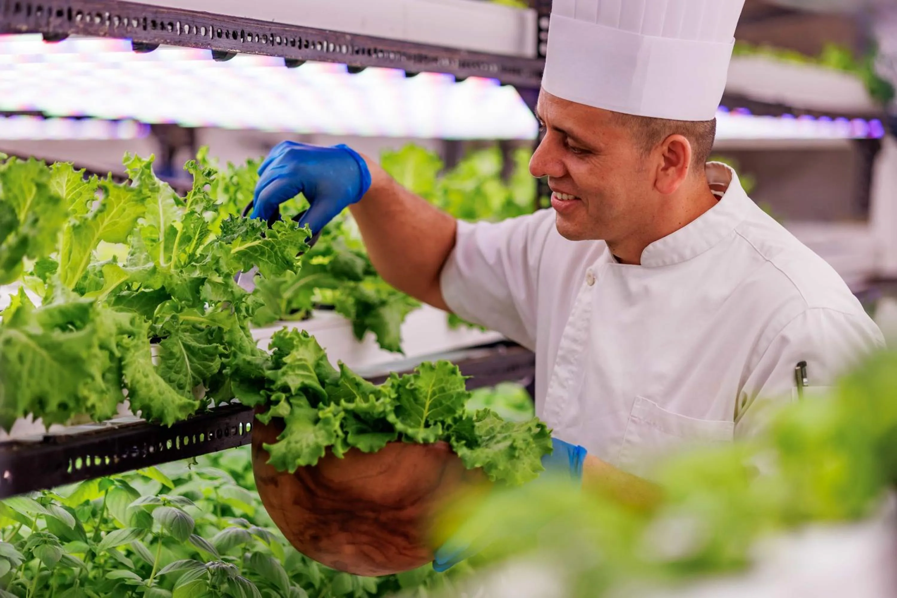 Garden in OZEN LIFE MAADHOO - Luxury All Inclusive with Free Transfers