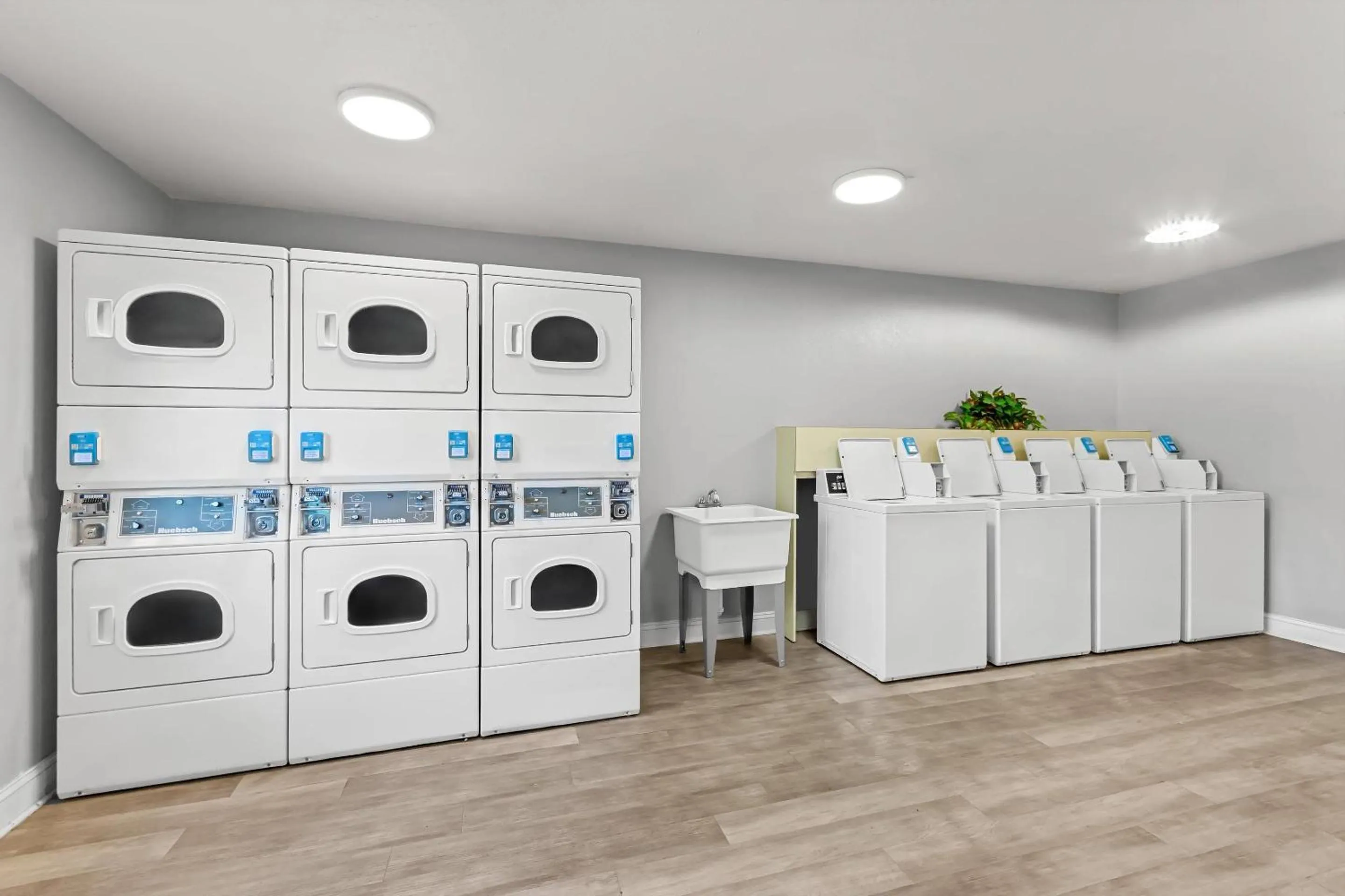 Other in MainStay Suites Louisville Jeffersontown