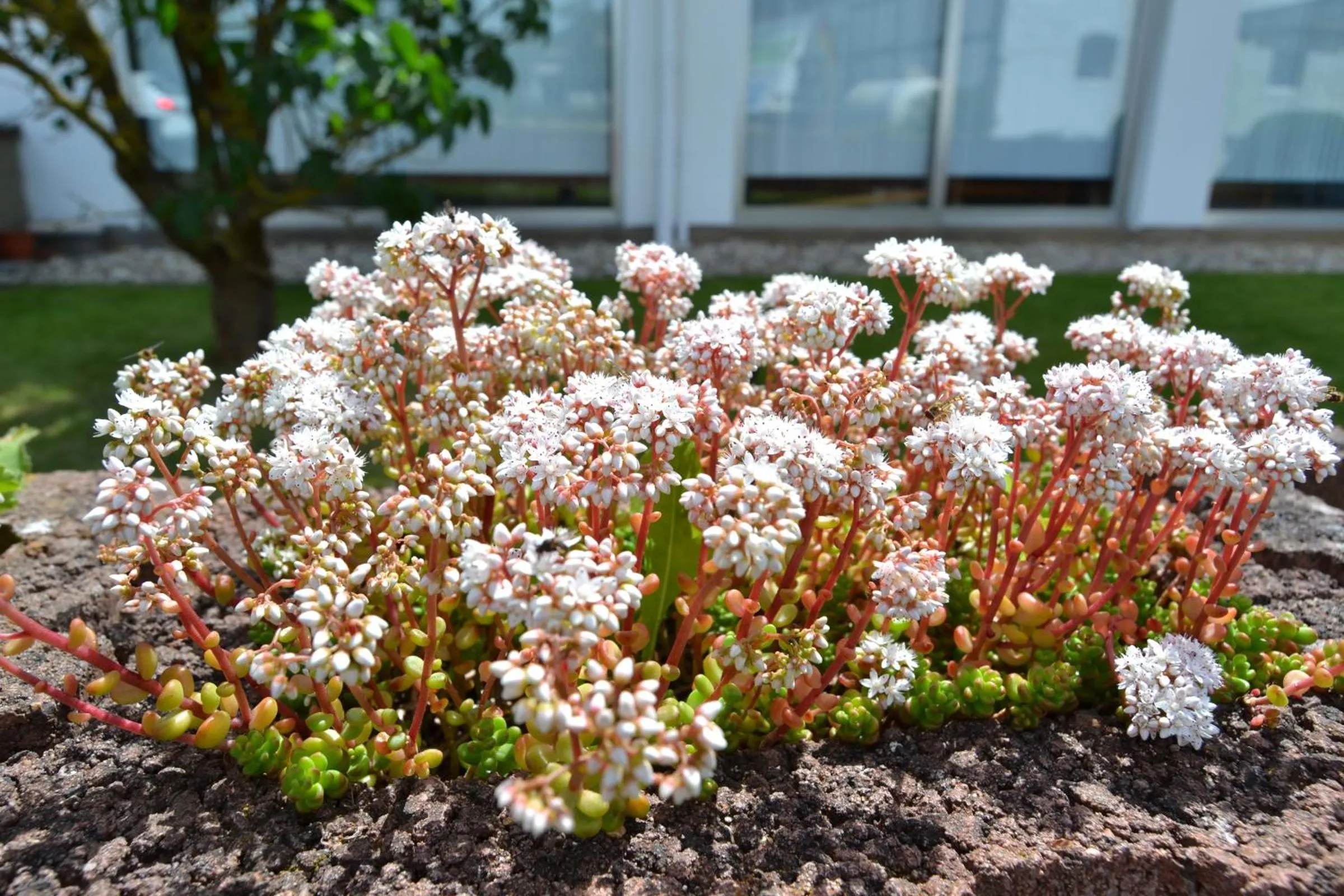 Garden in Eifelhof Weina