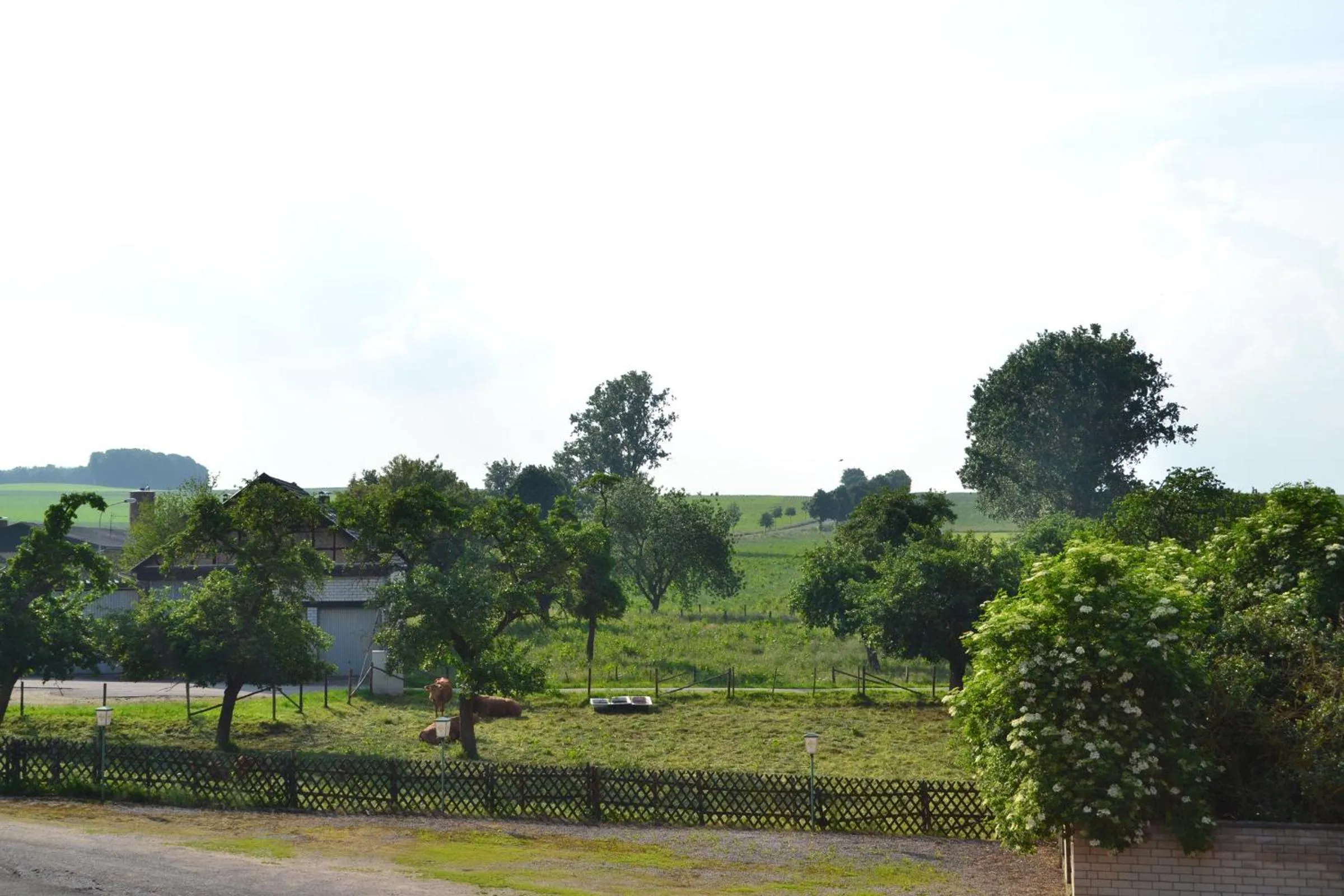 Natural landscape in Eifelhof Weina