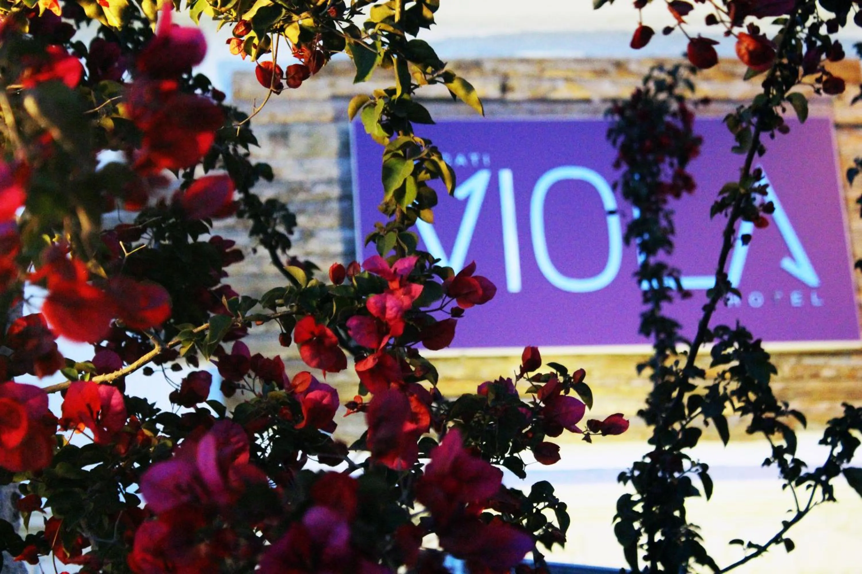 Property logo or sign in Alacati Viola Hotel