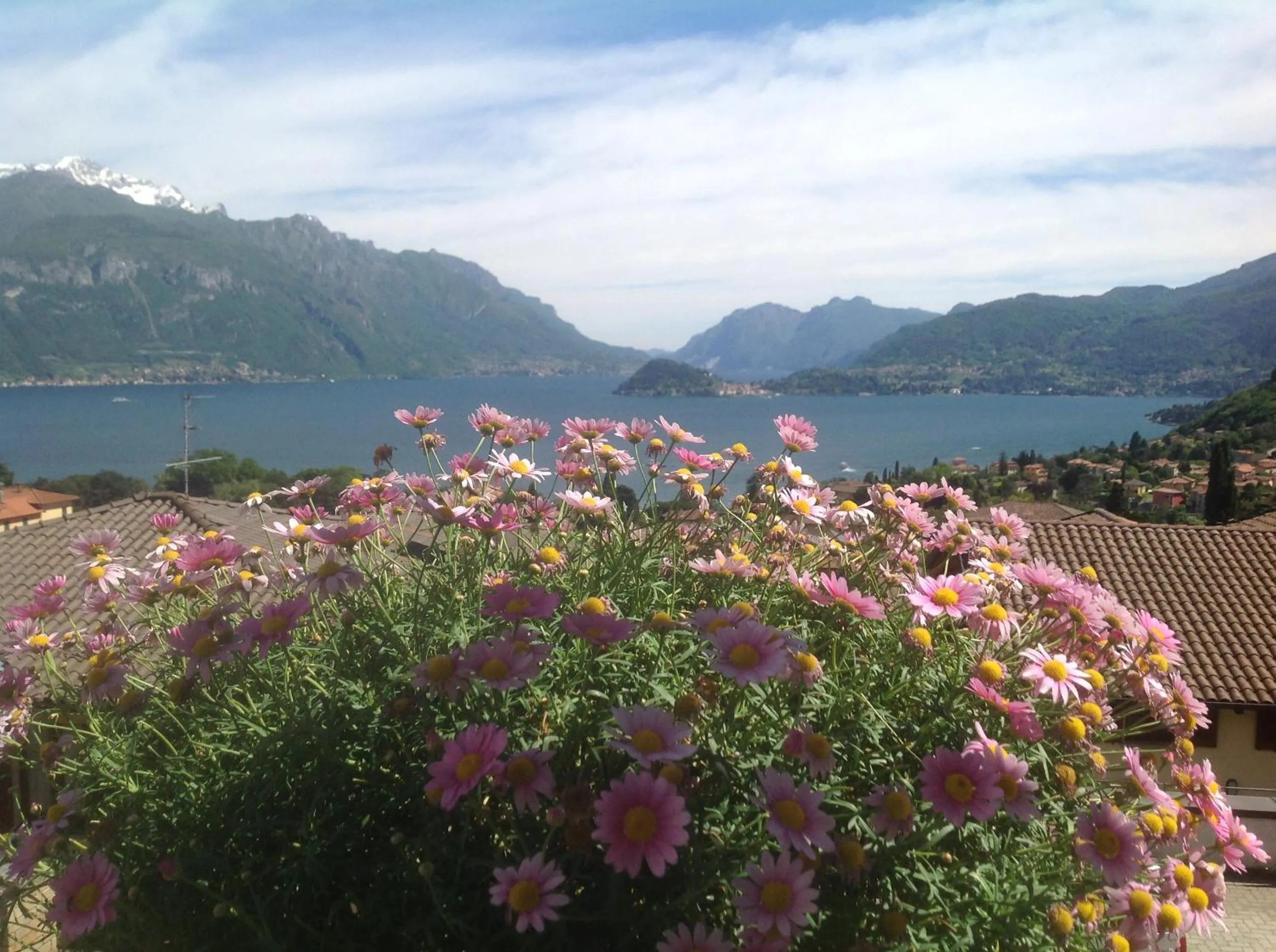 B&B By Lussy - Camera Verde