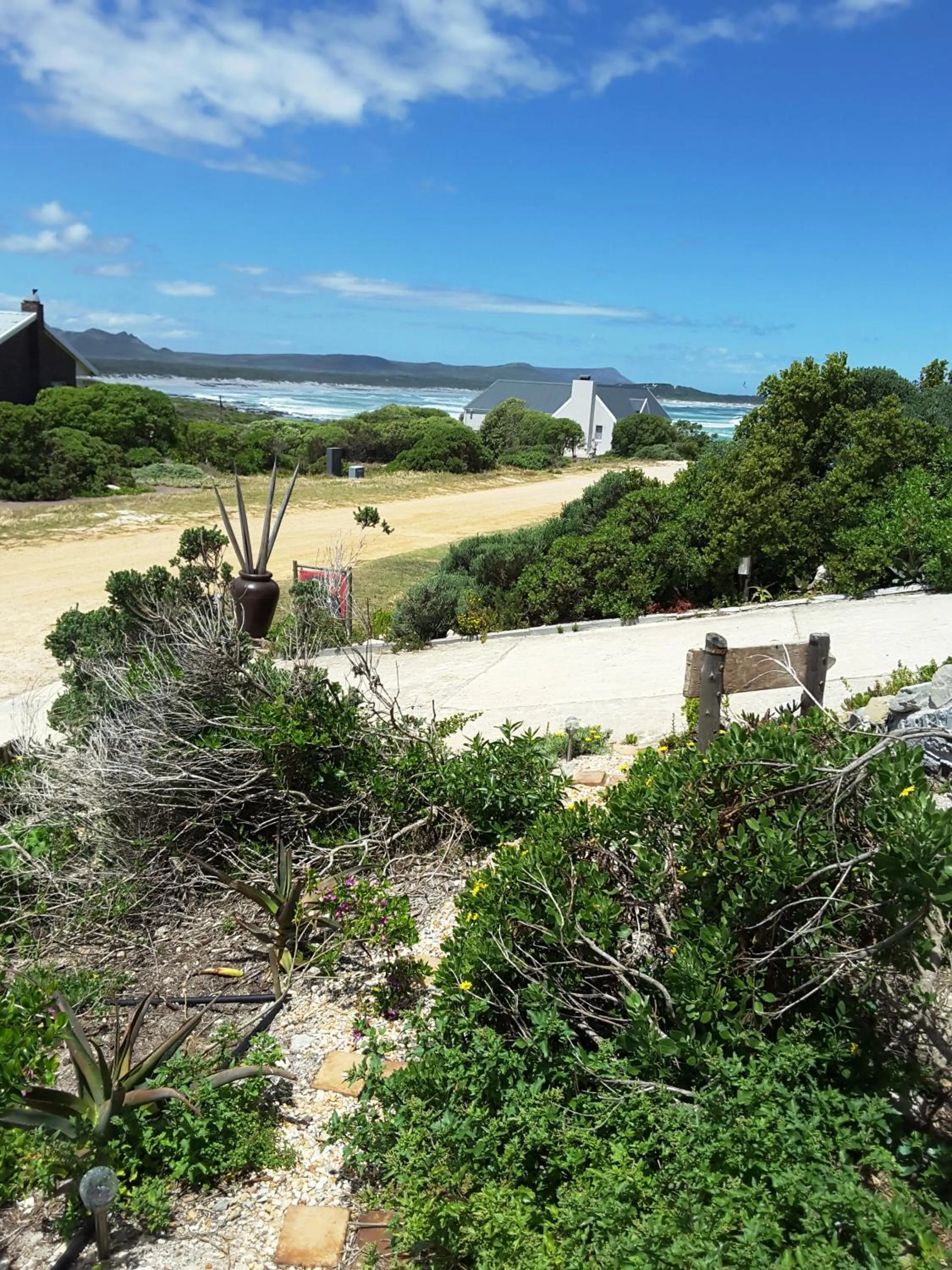 Garden in The-Ark B&B