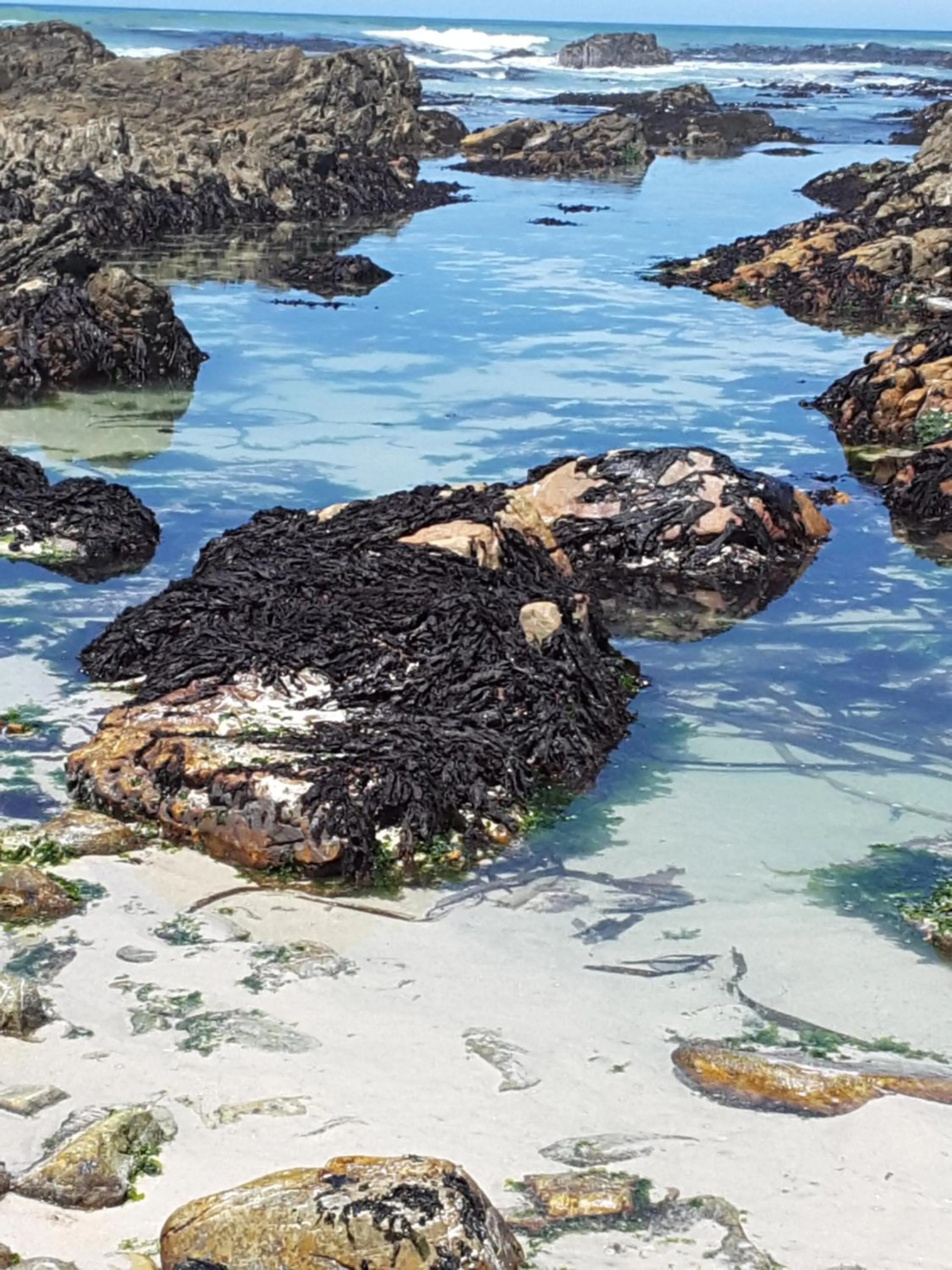 Off site in The-Ark B&B