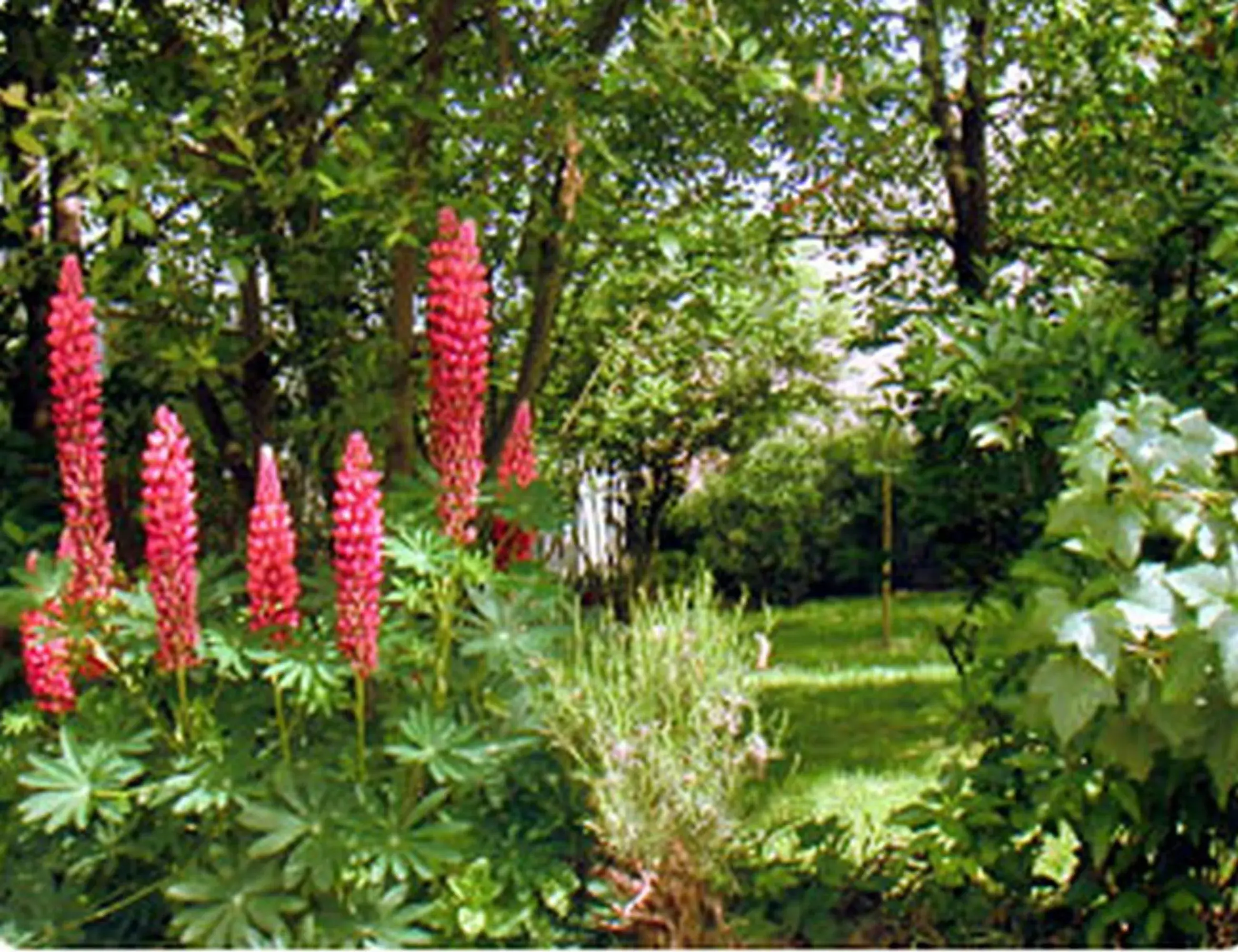 Garden in Aerotel Versailles Saint Cyr - L'étape du Silence