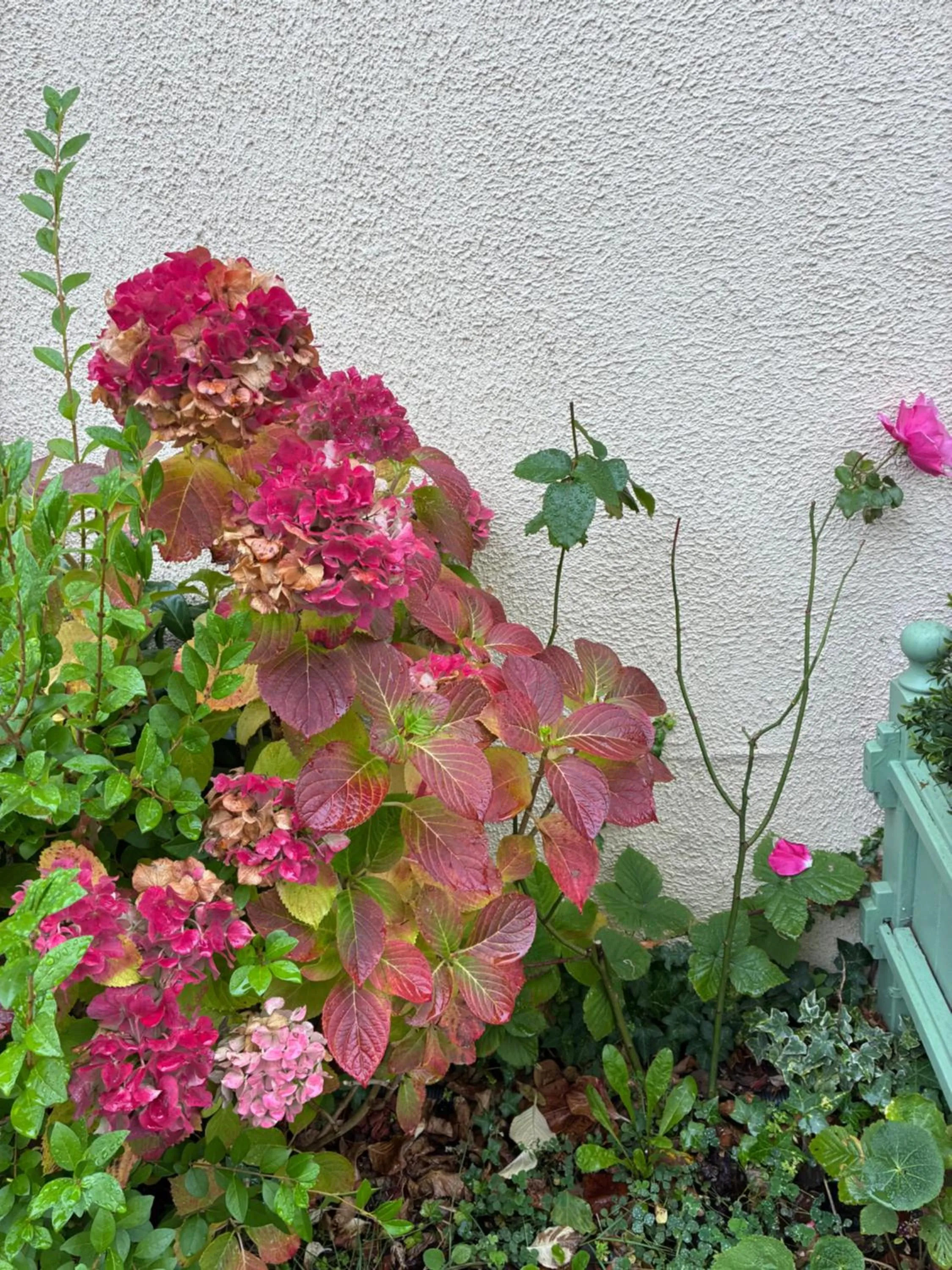 Aerotel Versailles Saint Cyr - L'étape du Silence
