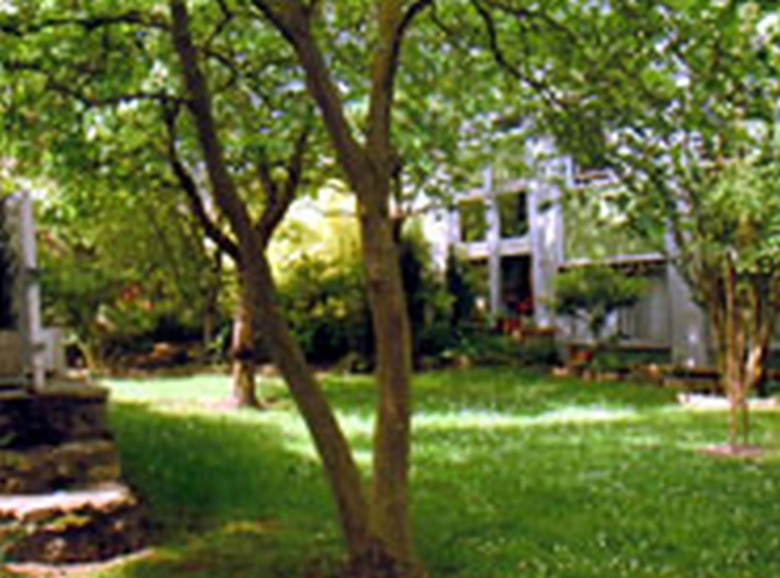 Garden in Aerotel Versailles Saint Cyr - L'étape du Silence