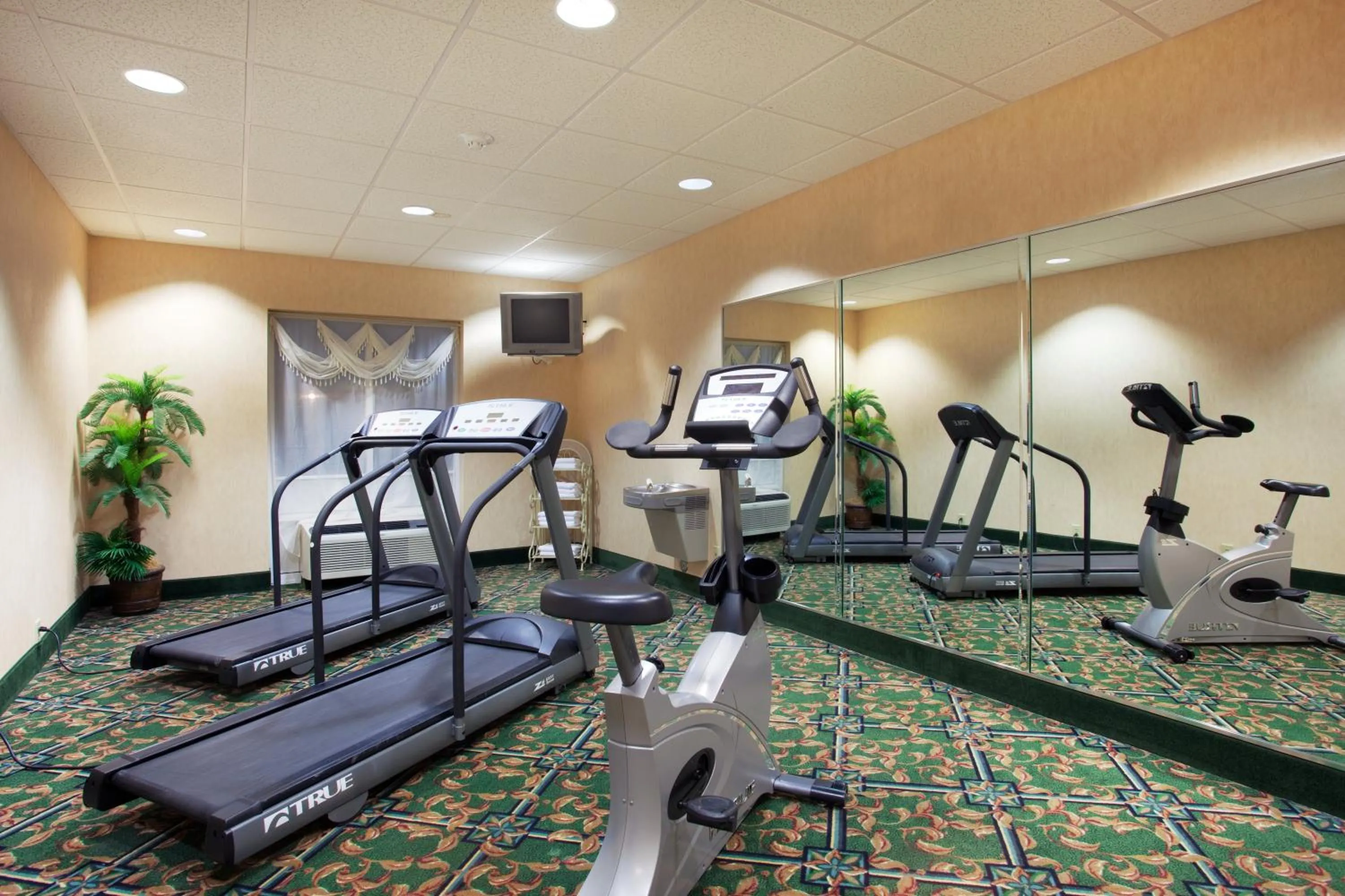 Fitness centre/facilities in Holiday Inn Express Hotel & Suites Lenoir City Knoxville Area by IHG