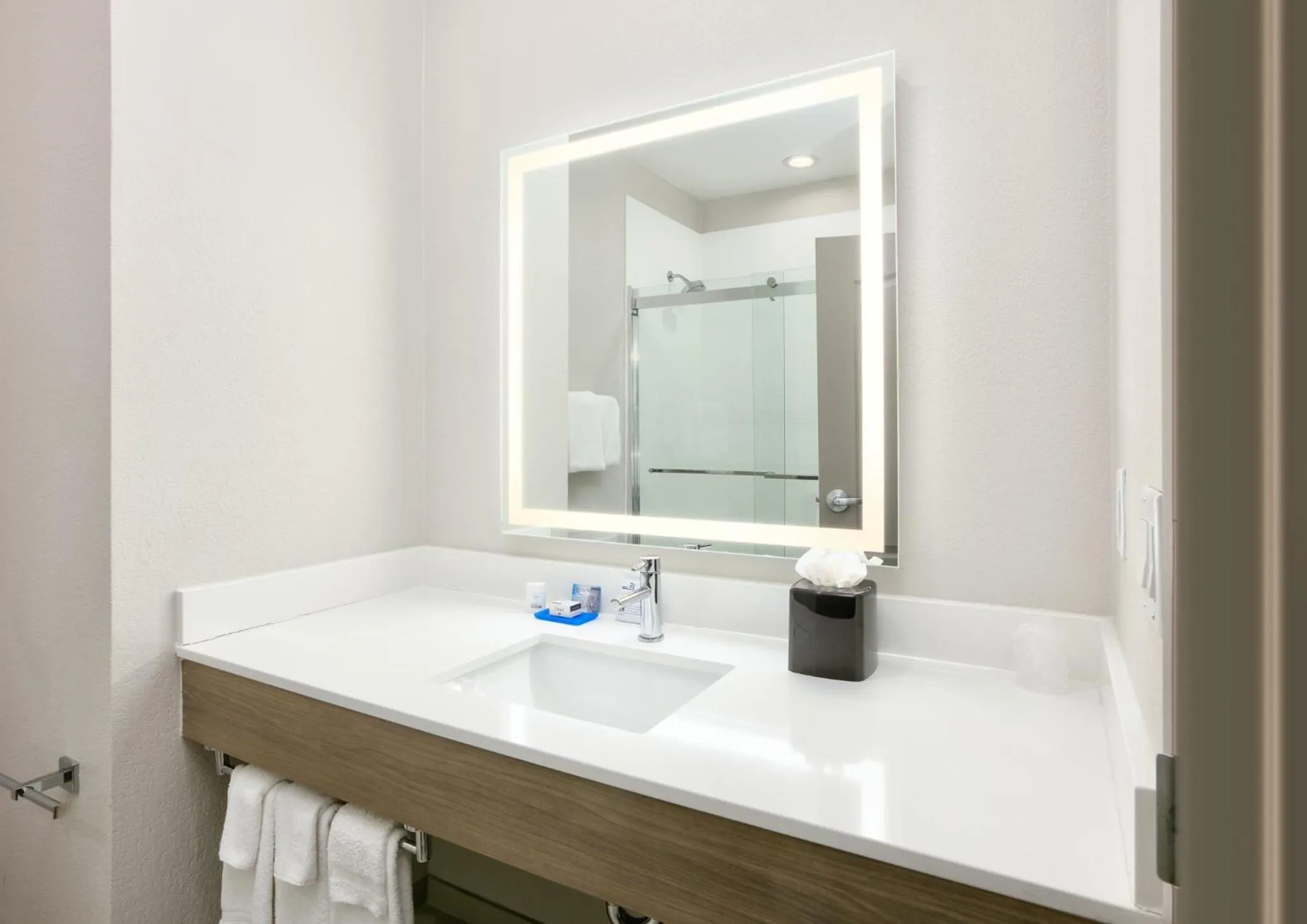 Bathroom in Holiday Inn Express & Suites North Dallas at Preston by IHG