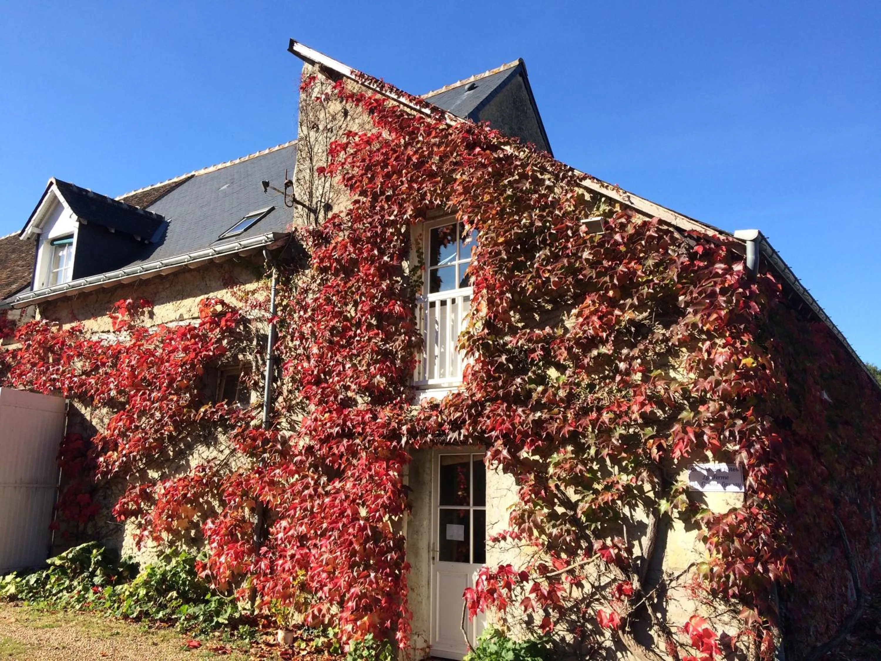 Property building in Chambres d'hôtes La Ferme du Grand Launay