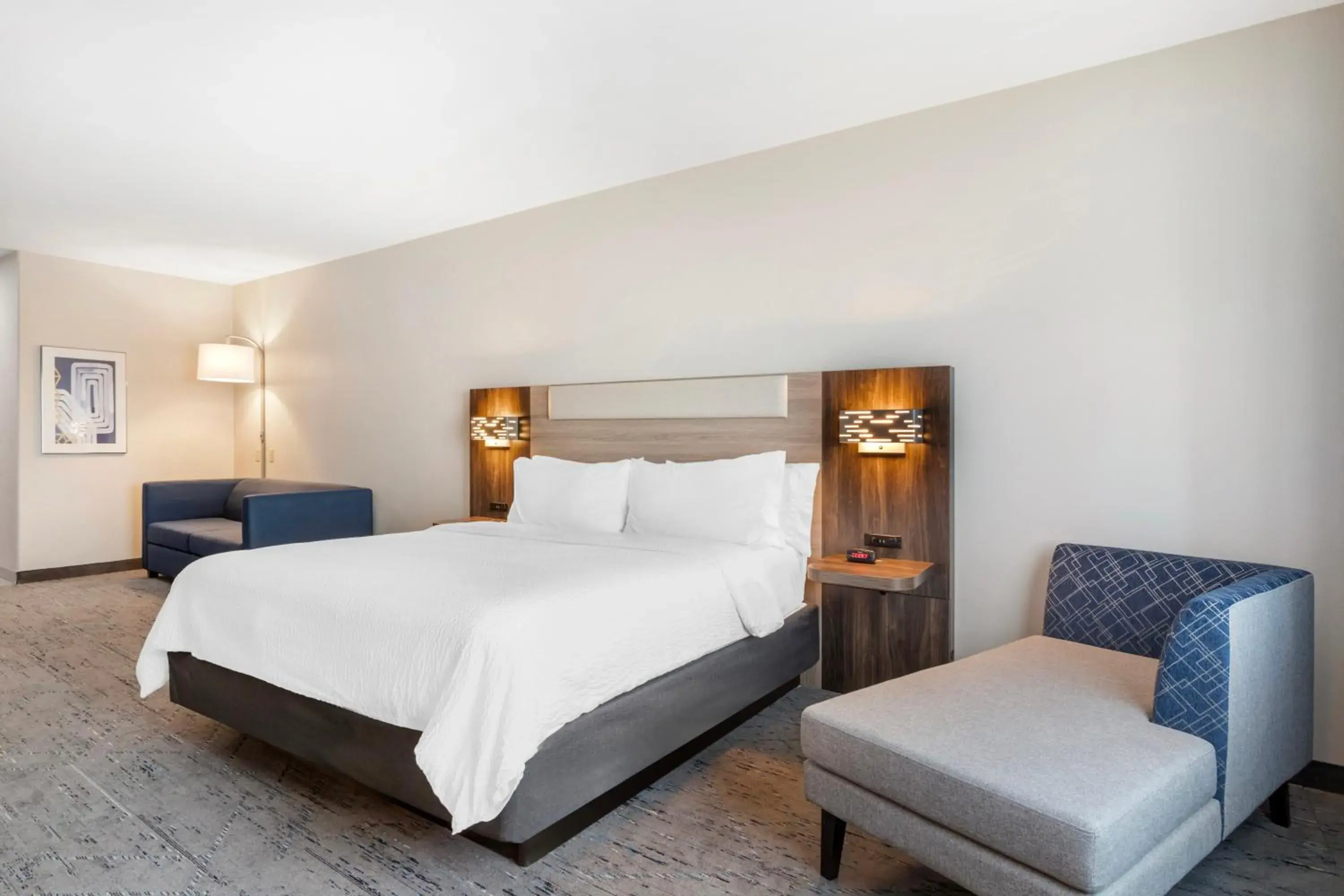 Premium King Room with Sofa in Holiday Inn Express Hotel and Suites Alice by IHG Premium King Room with Sofa in Holiday Inn Express Hotel and Suites Alice by IHG