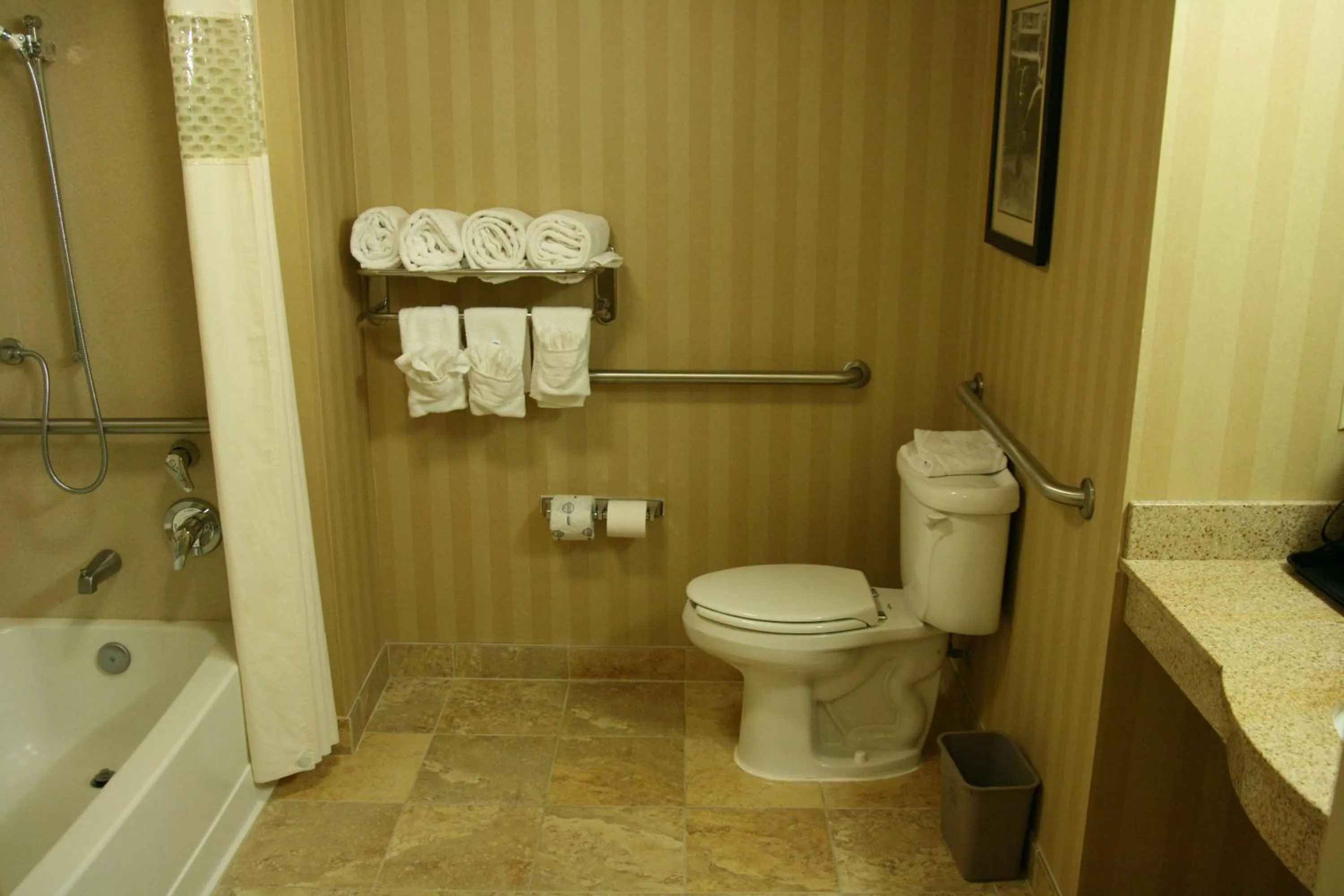 Bathroom in Hampton Inn & Suites Mobile Providence Park/Airport