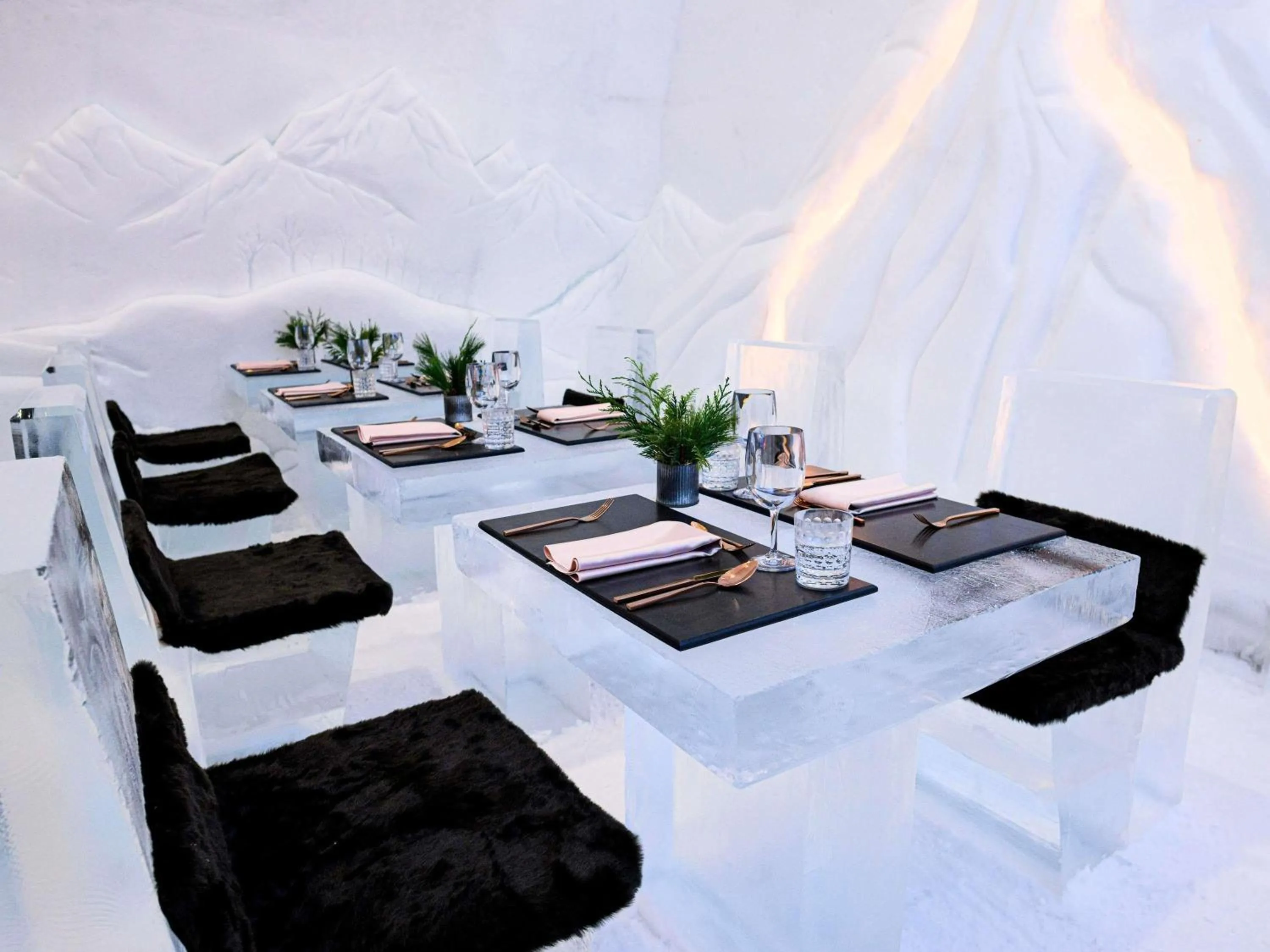 Restaurant/places to eat in Fairmont Le Chateau Frontenac