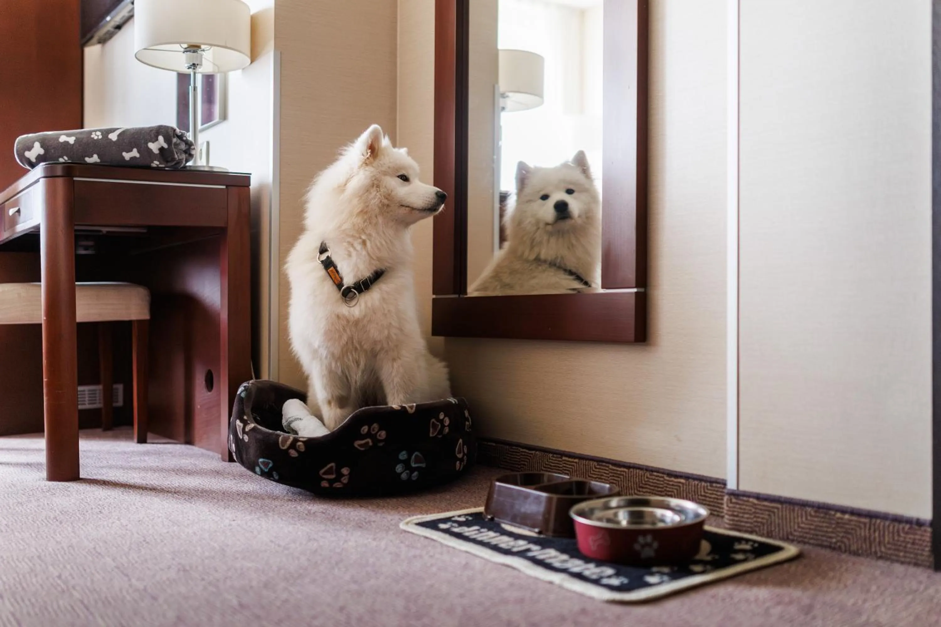 Animals in Hotel Kossak