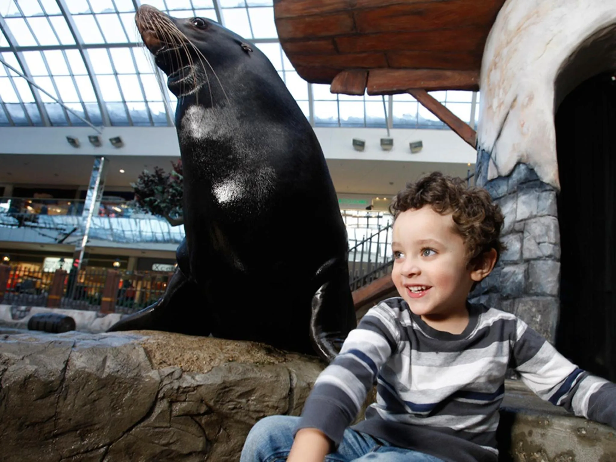 People in Fantasyland Hotel