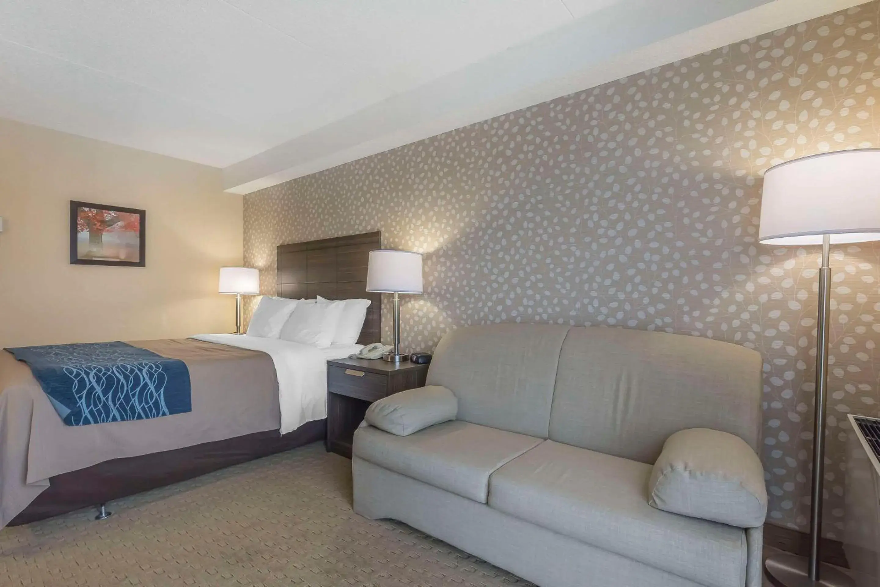 Deluxe Queen Room with Sofa Bed - Ground Floor in Comfort Inn Deluxe Queen Room with Sofa Bed - Ground Floor in Comfort Inn