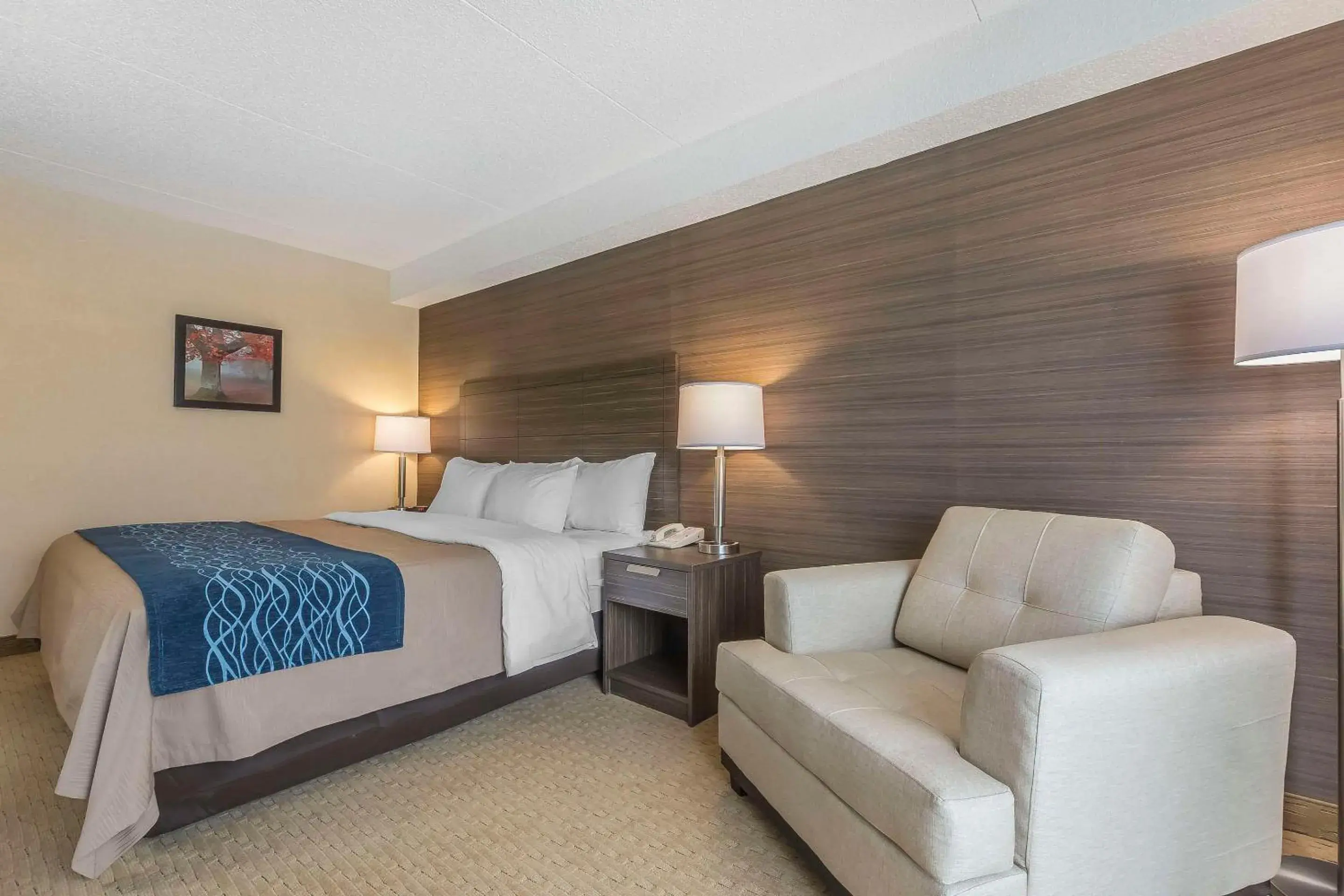 Bedroom, Bed in Comfort Inn Bedroom, Bed in Comfort Inn