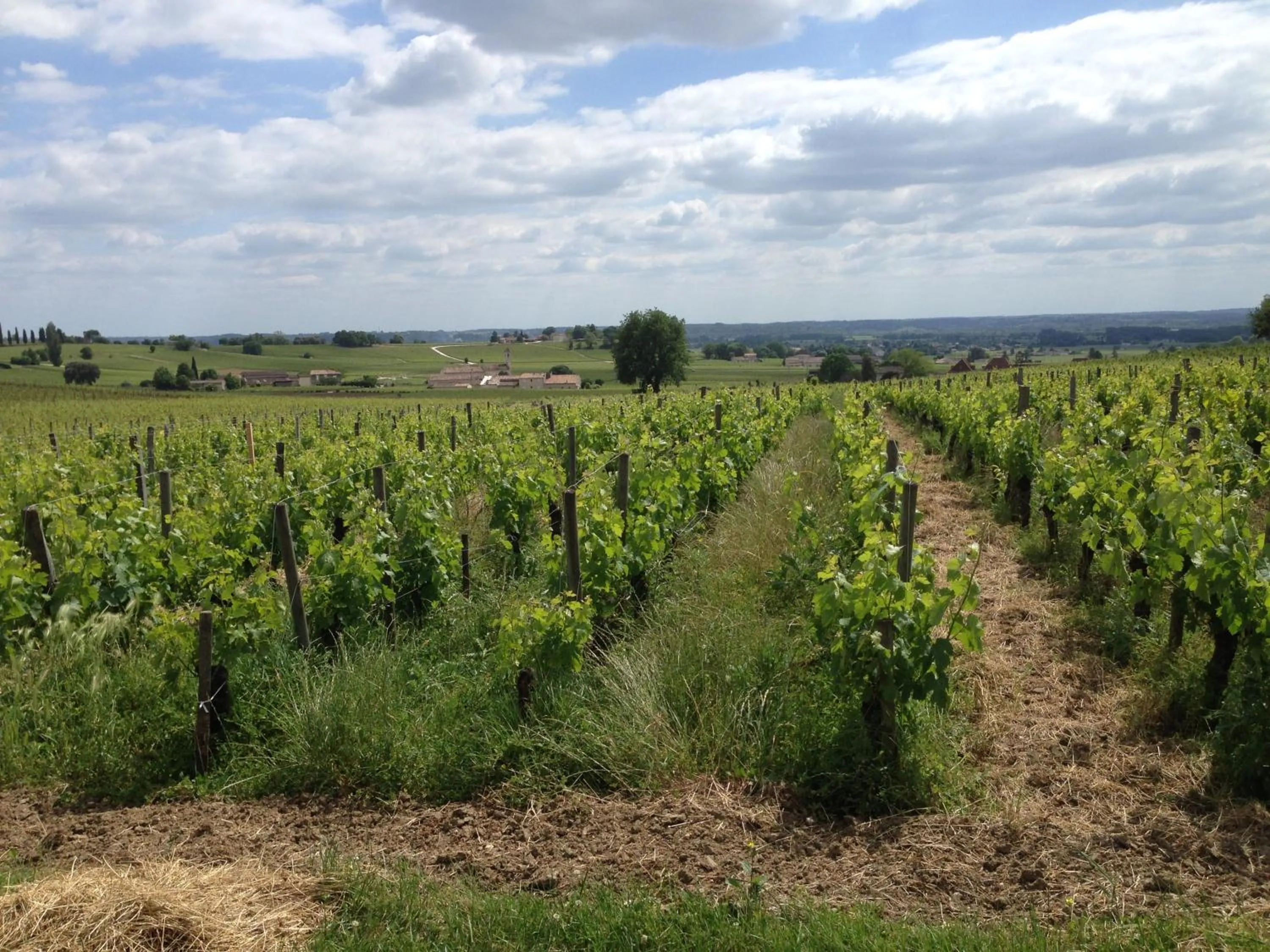 View (from property/room) in El Molí de Pontons suites con jacuzzi spa