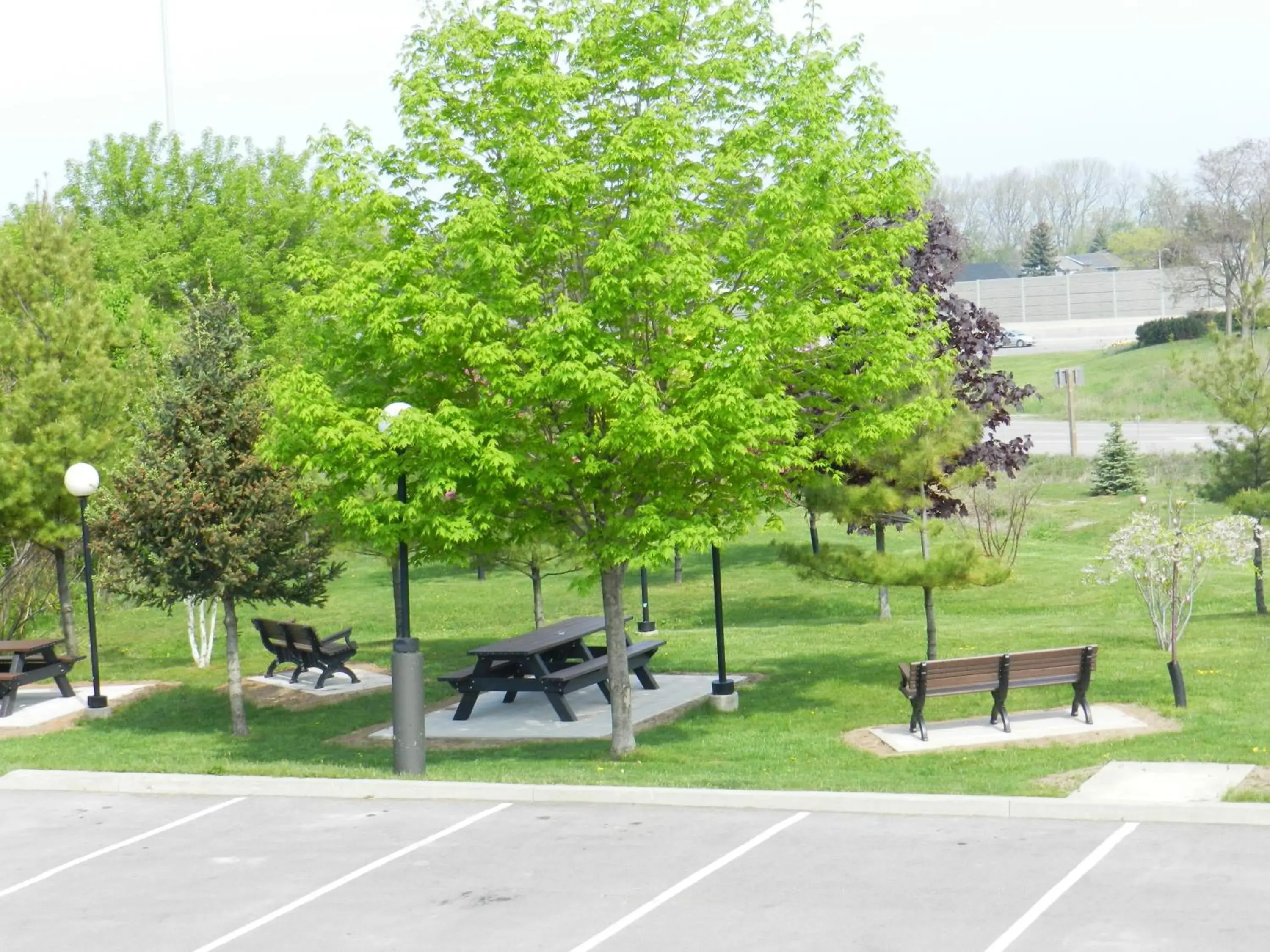 Garden view in Capri Inn Garden view in Capri Inn