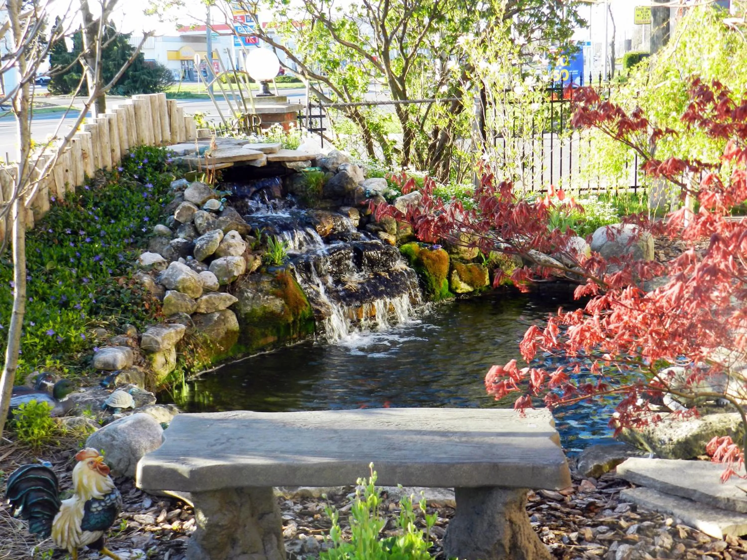 Natural landscape in Capri Inn