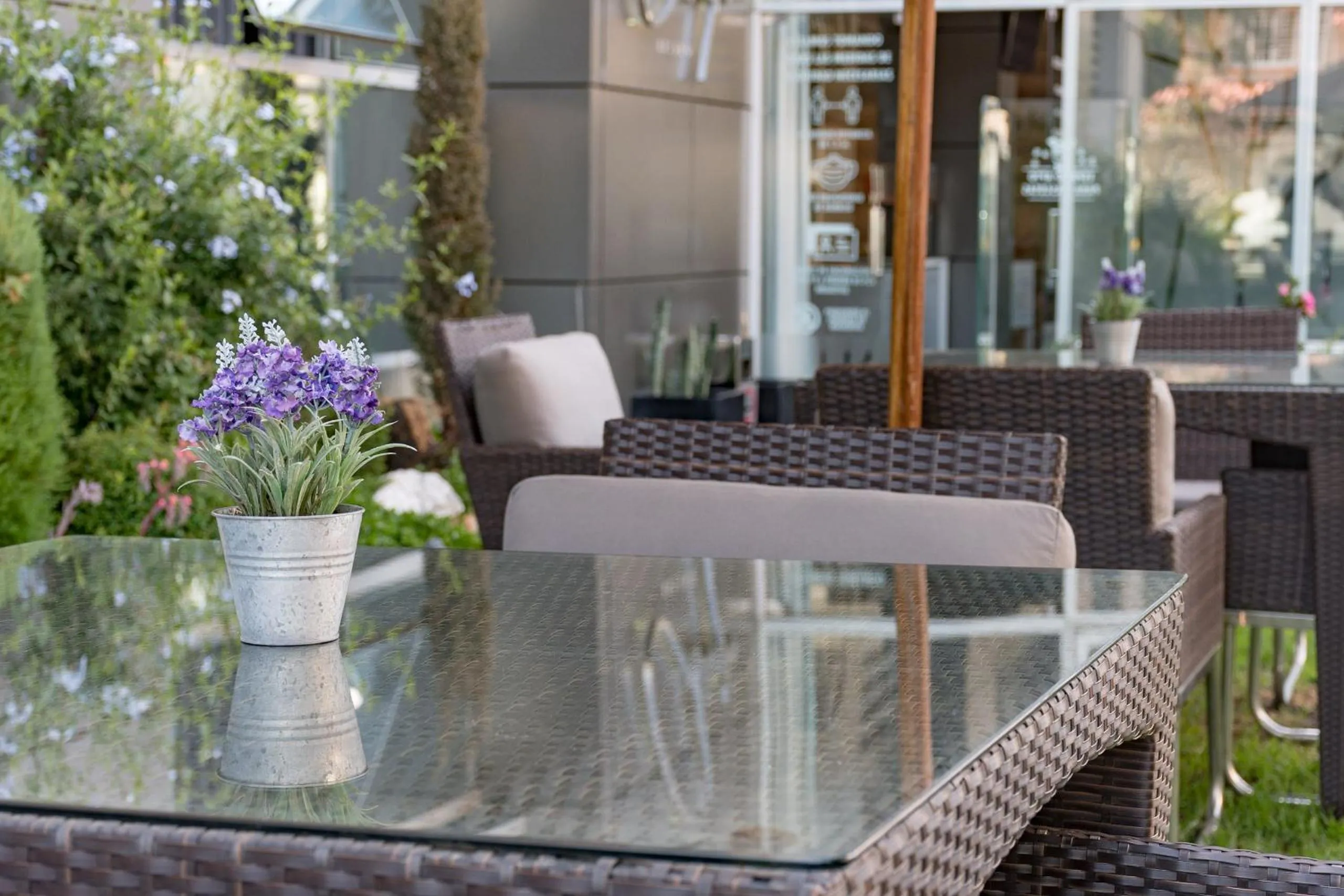 Restaurant/places to eat in Hotel Rennova