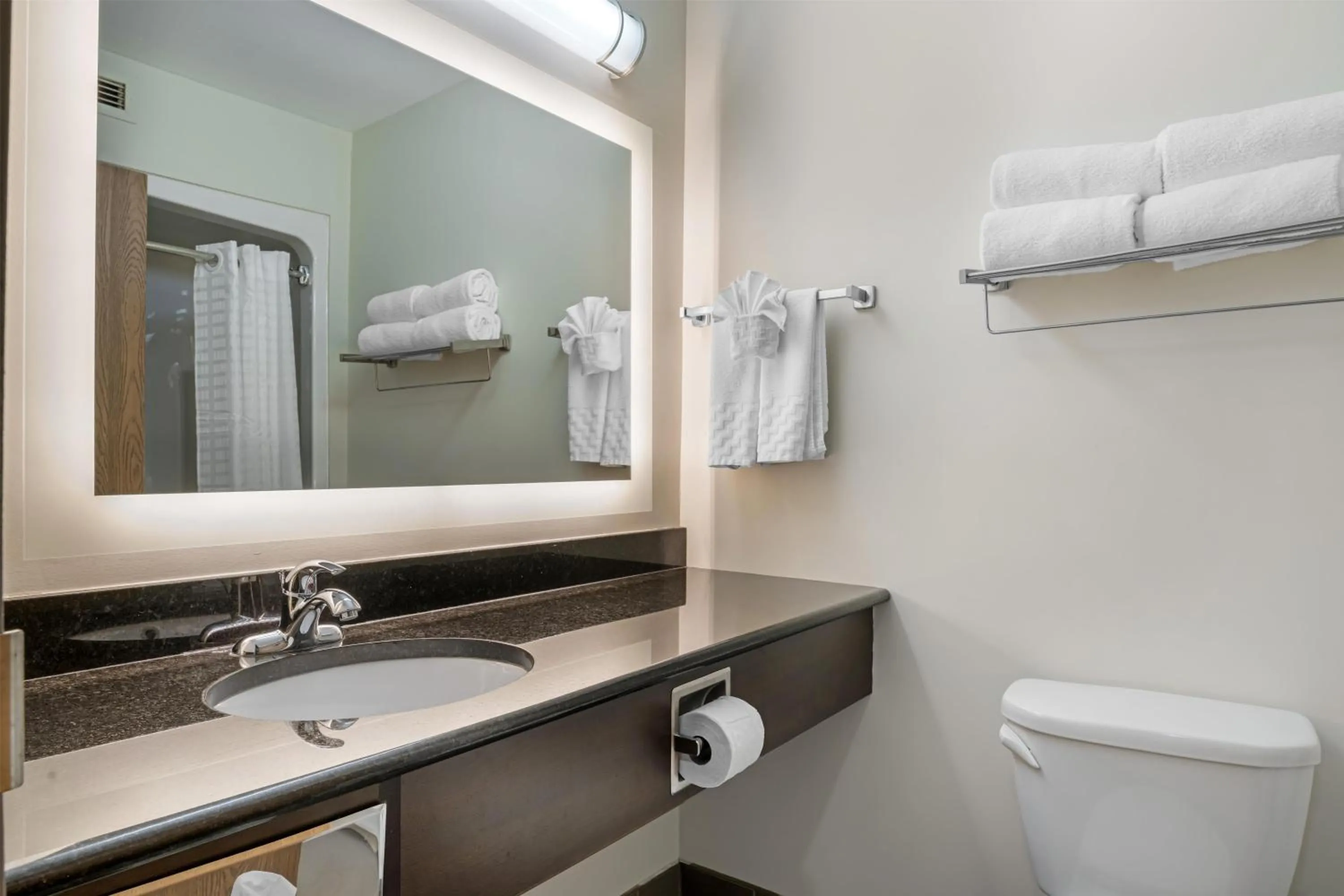 Bathroom in Best Western Plus Dartmouth Hotel & Suites