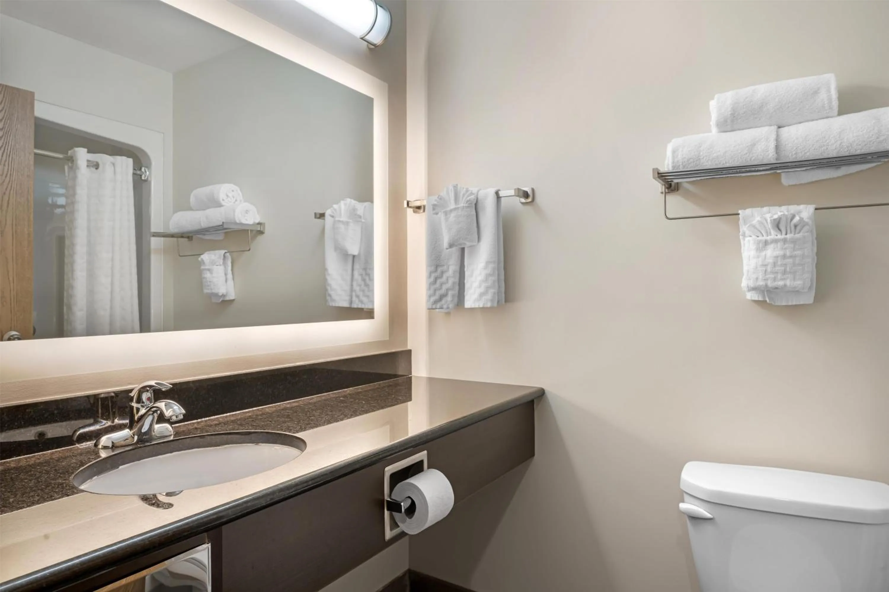 Bathroom in Best Western Plus Dartmouth Hotel & Suites