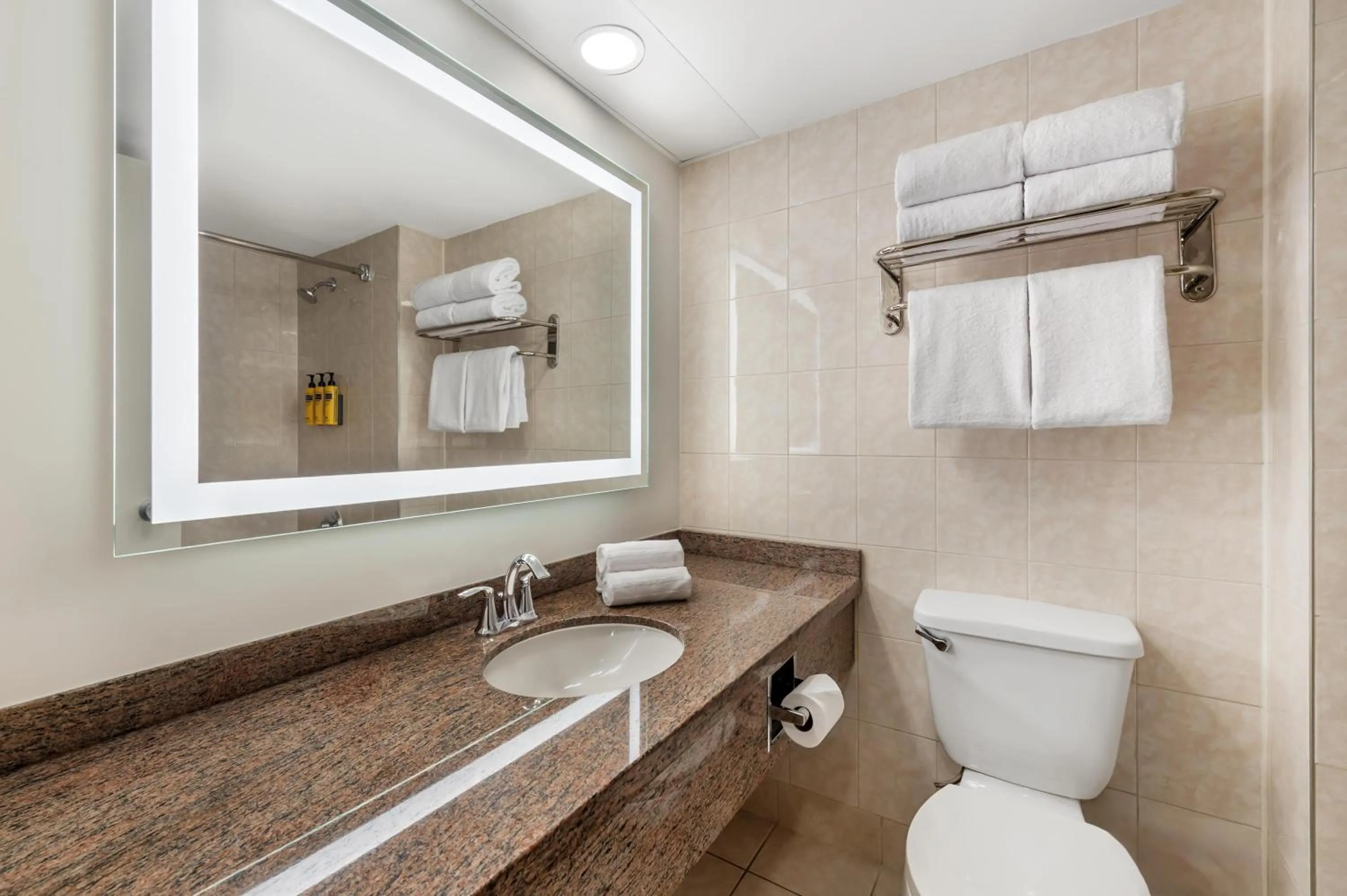 Bathroom in Best Western Plus Ottawa City Centre