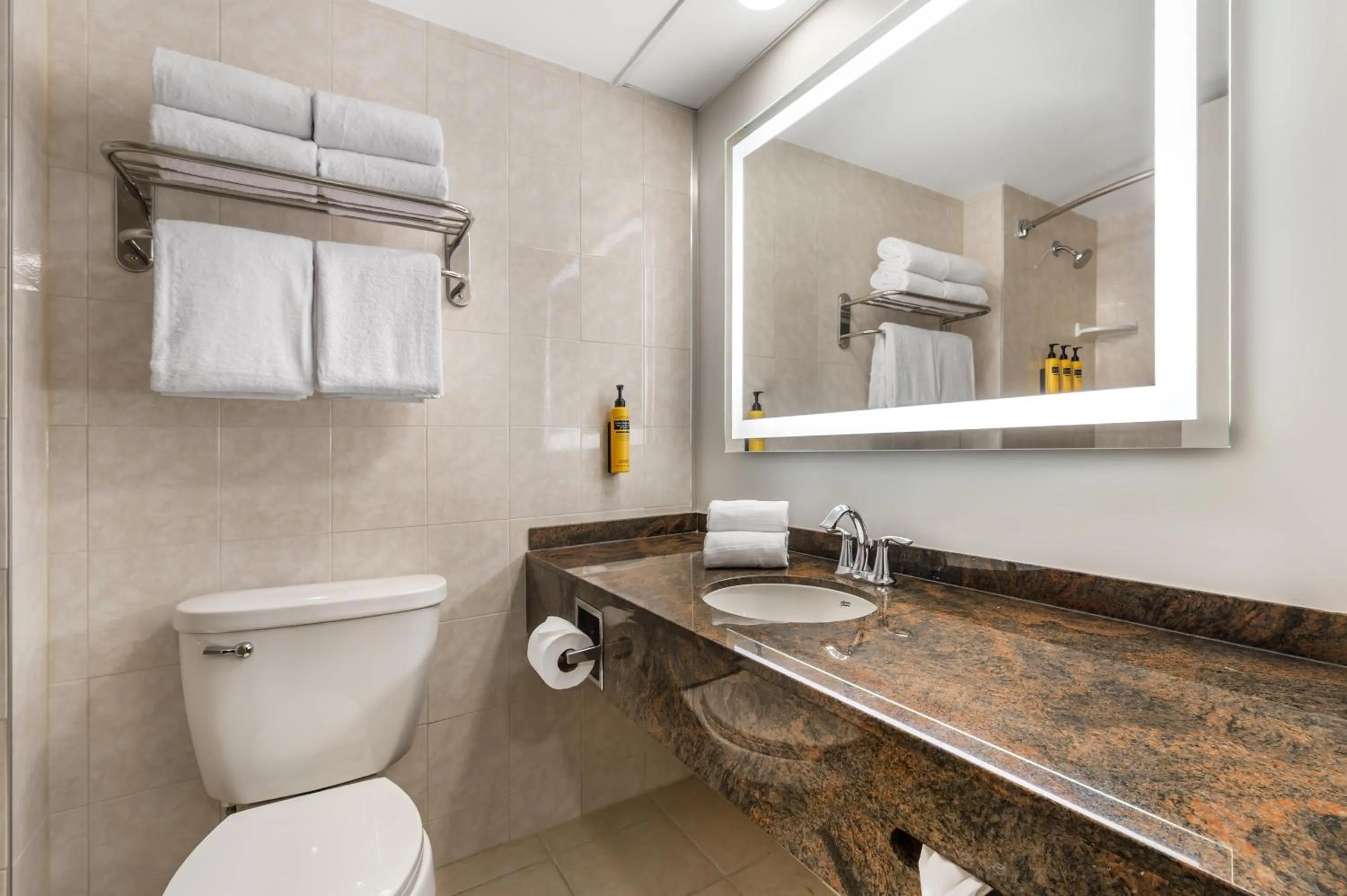 Bathroom in Best Western Plus Ottawa City Centre