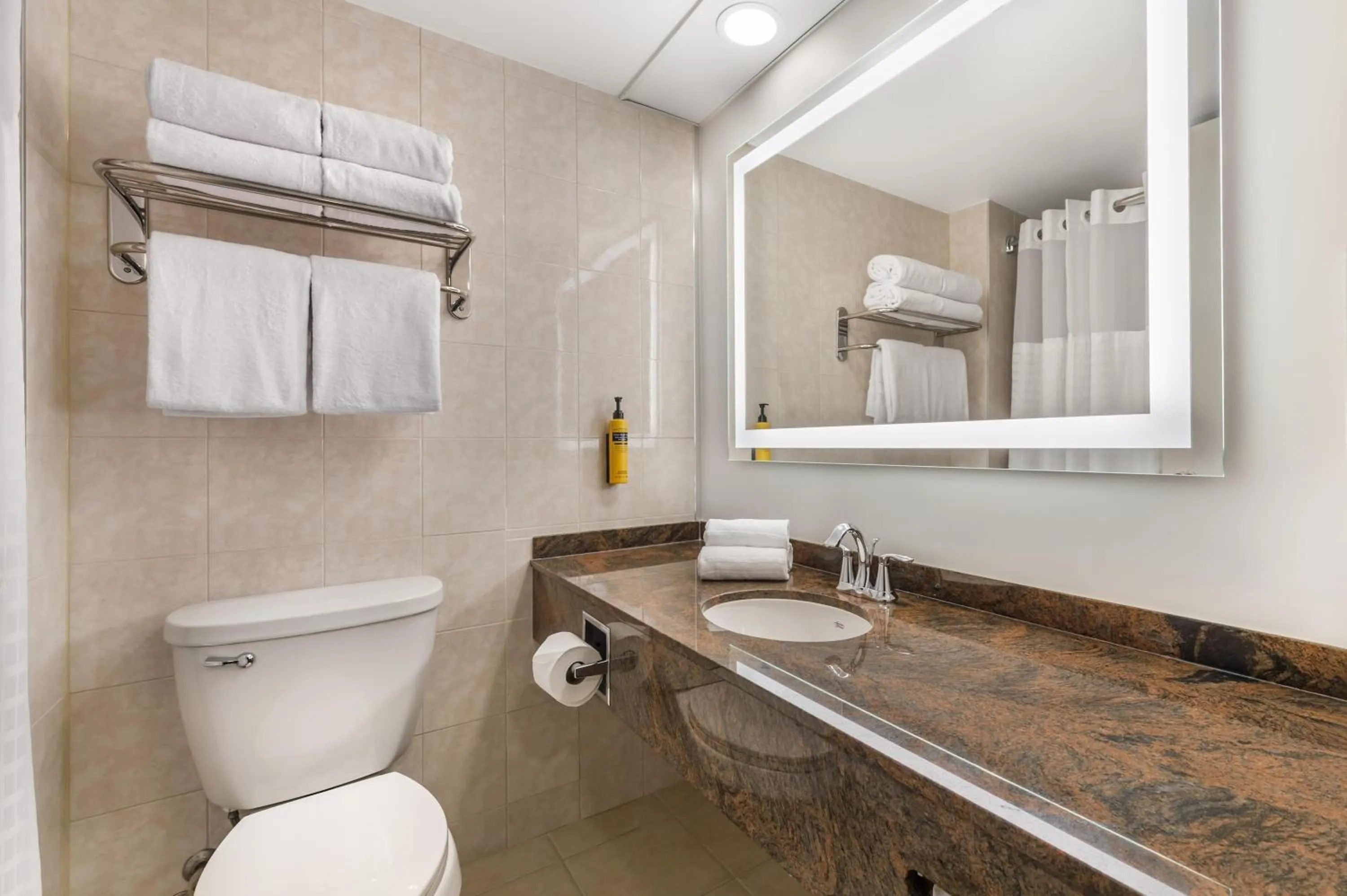 Bathroom in Best Western Plus Ottawa City Centre