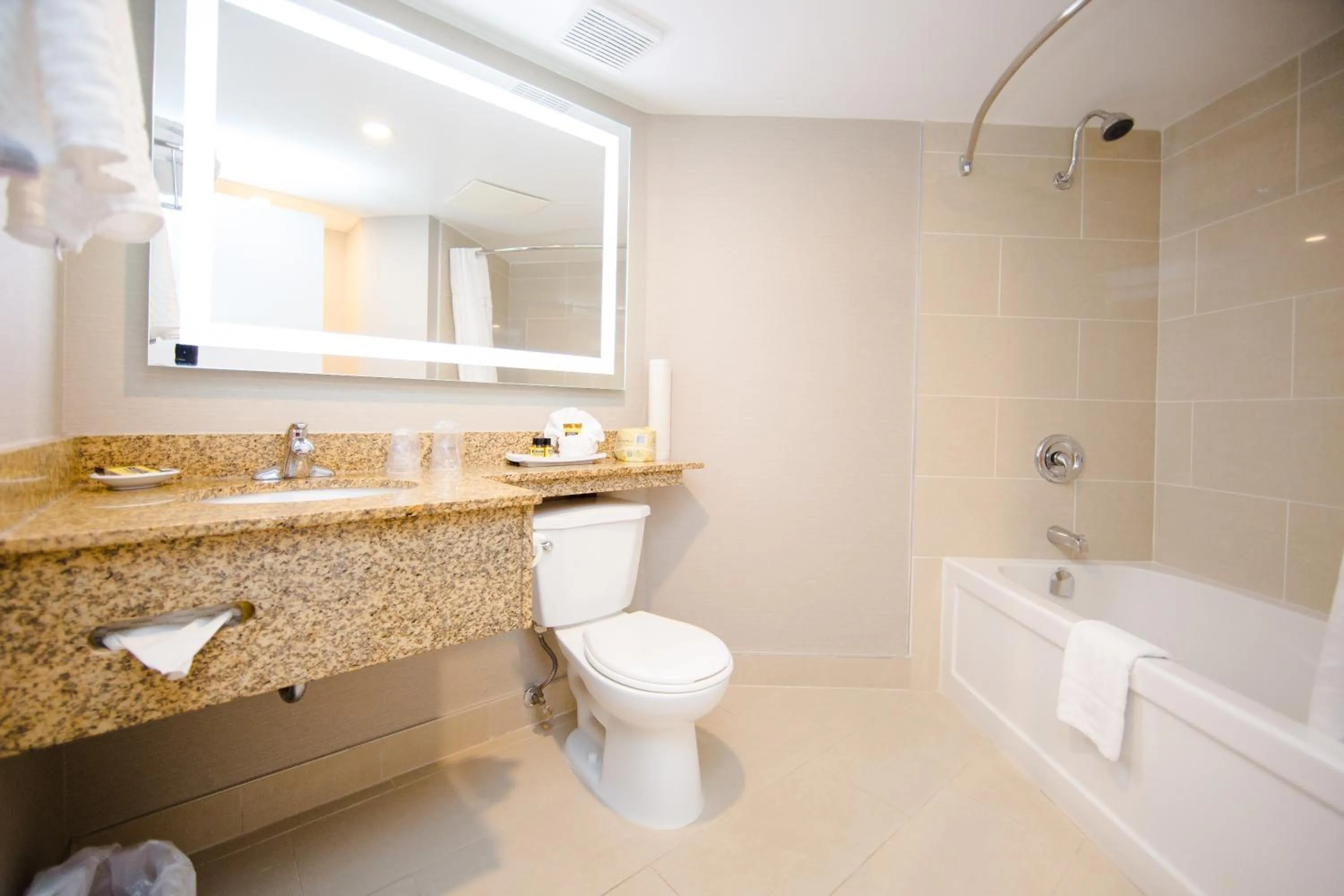 Bathroom in Best Western Plus Ottawa Kanata Hotel and Conference Centre