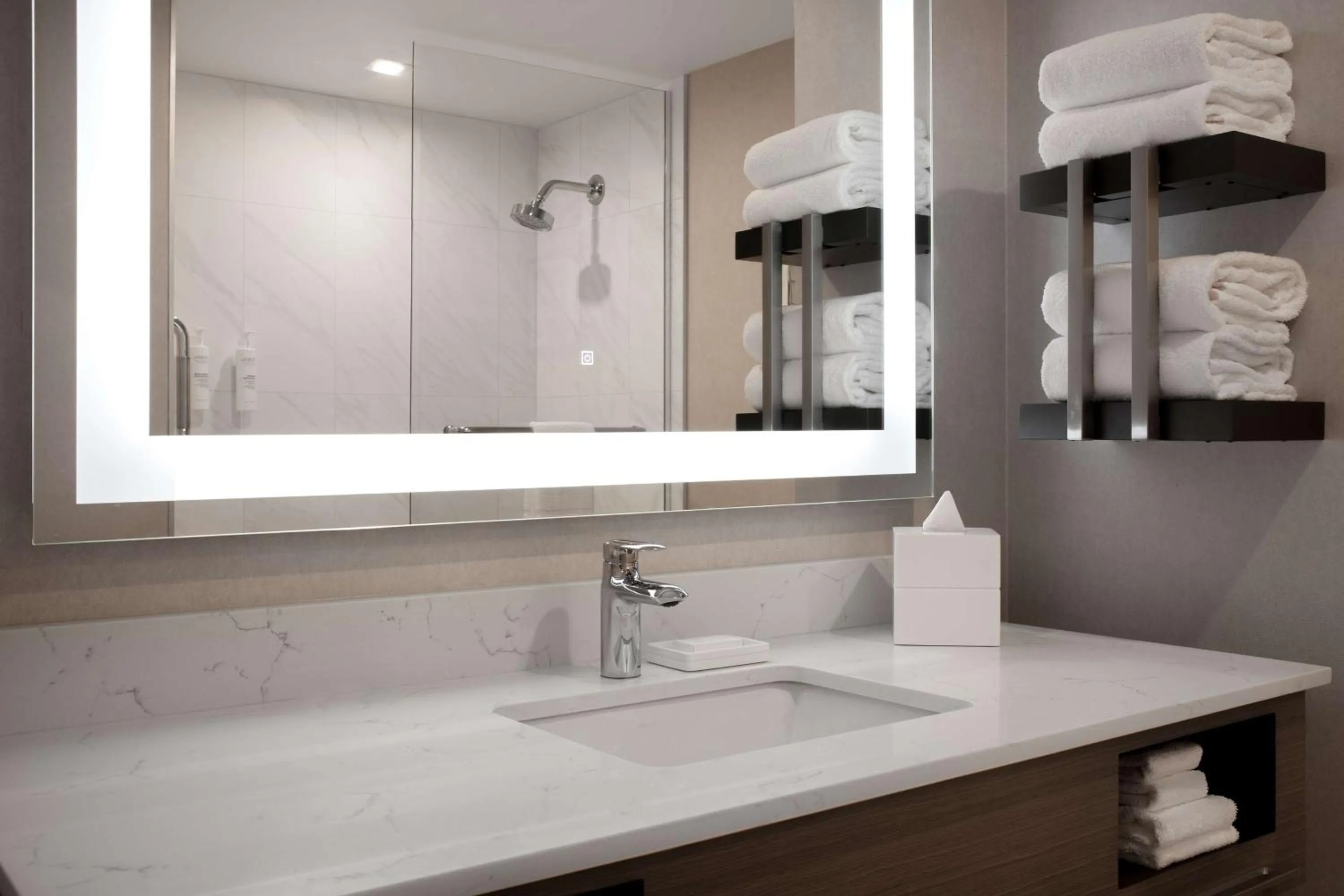 Bathroom in Hampton Inn By Hilton Winnipeg Downtown