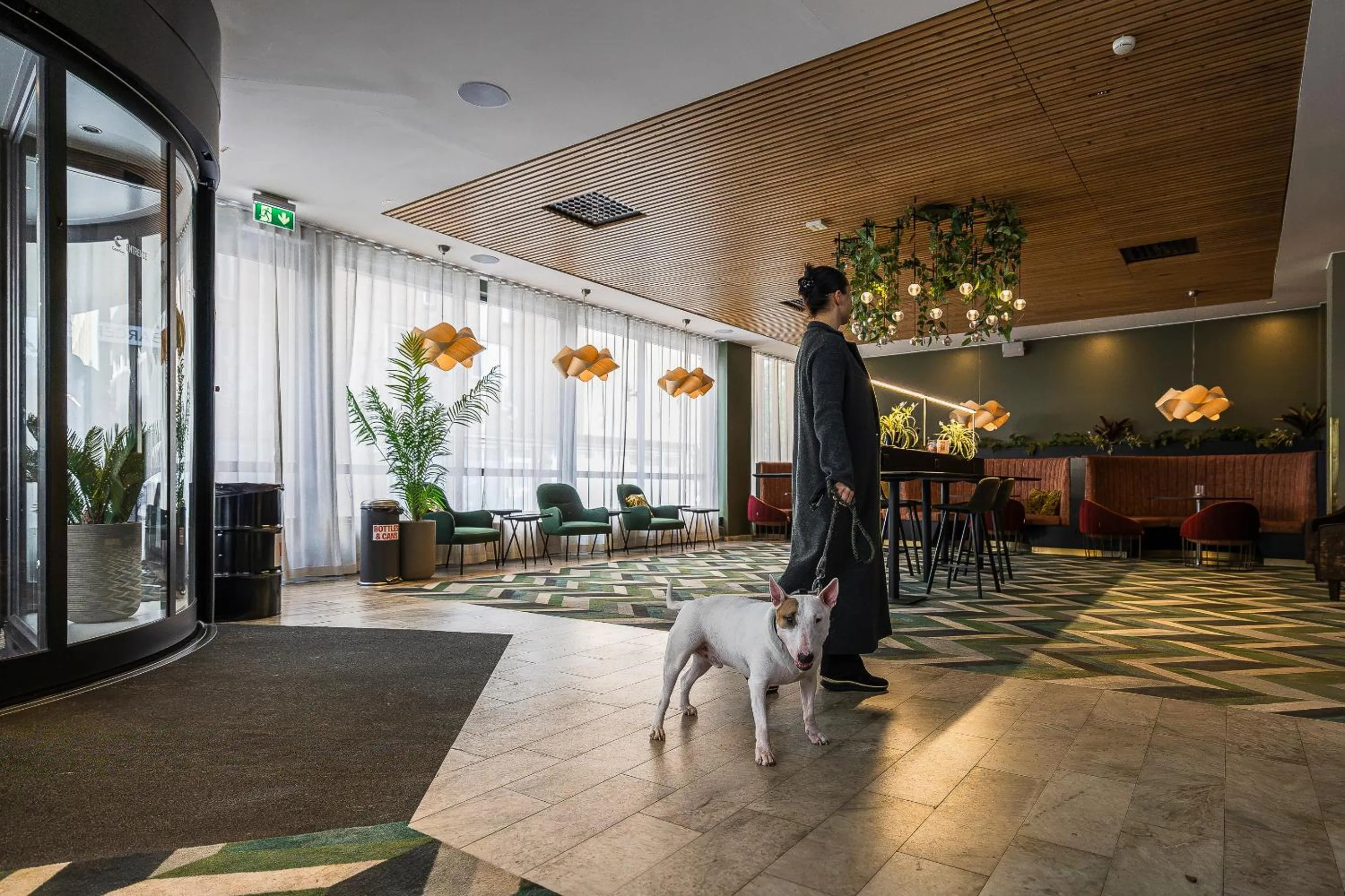 Animals in Comfort Hotel Sundsvall