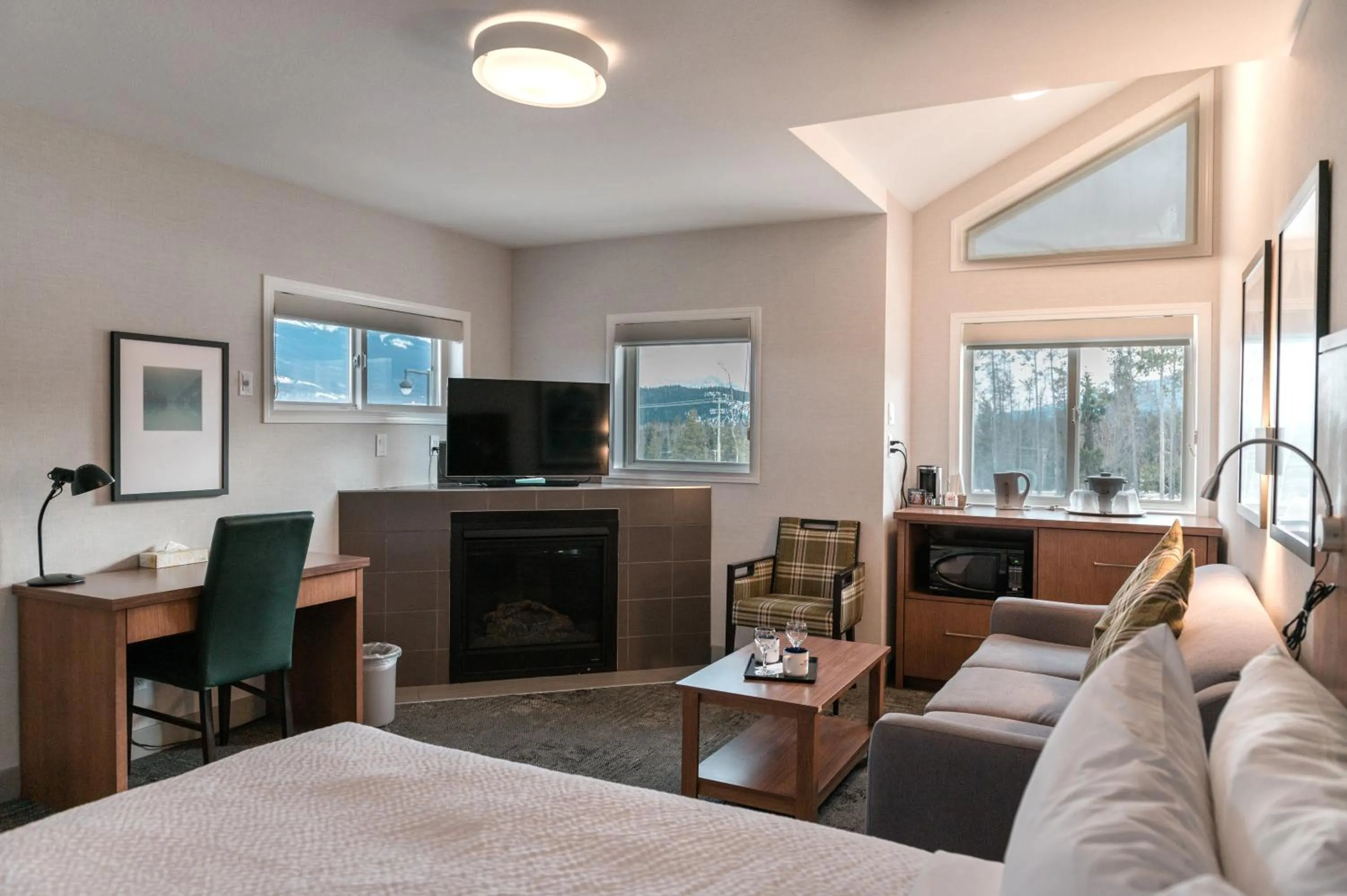 TV and multimedia in Mount Robson Inn