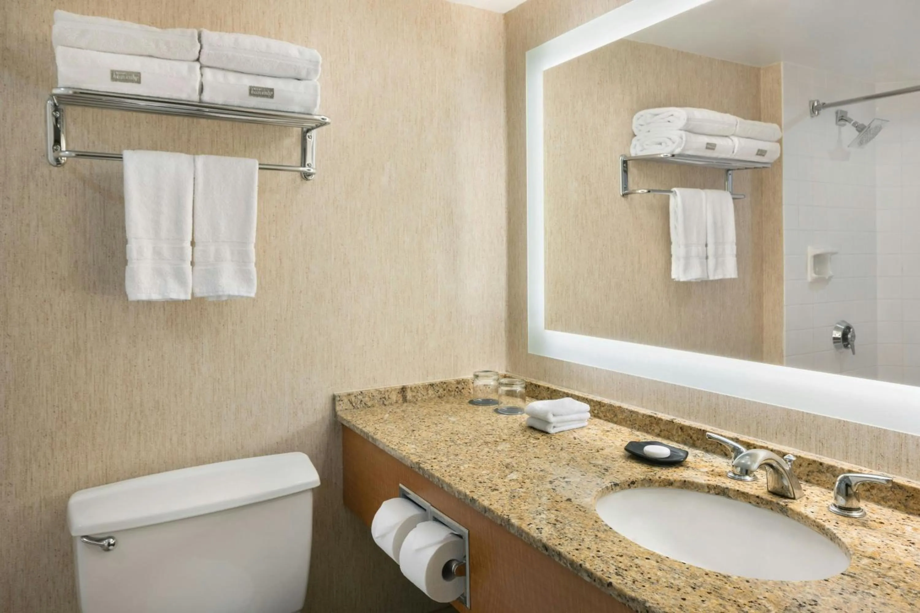 Bathroom in The Westin Edmonton