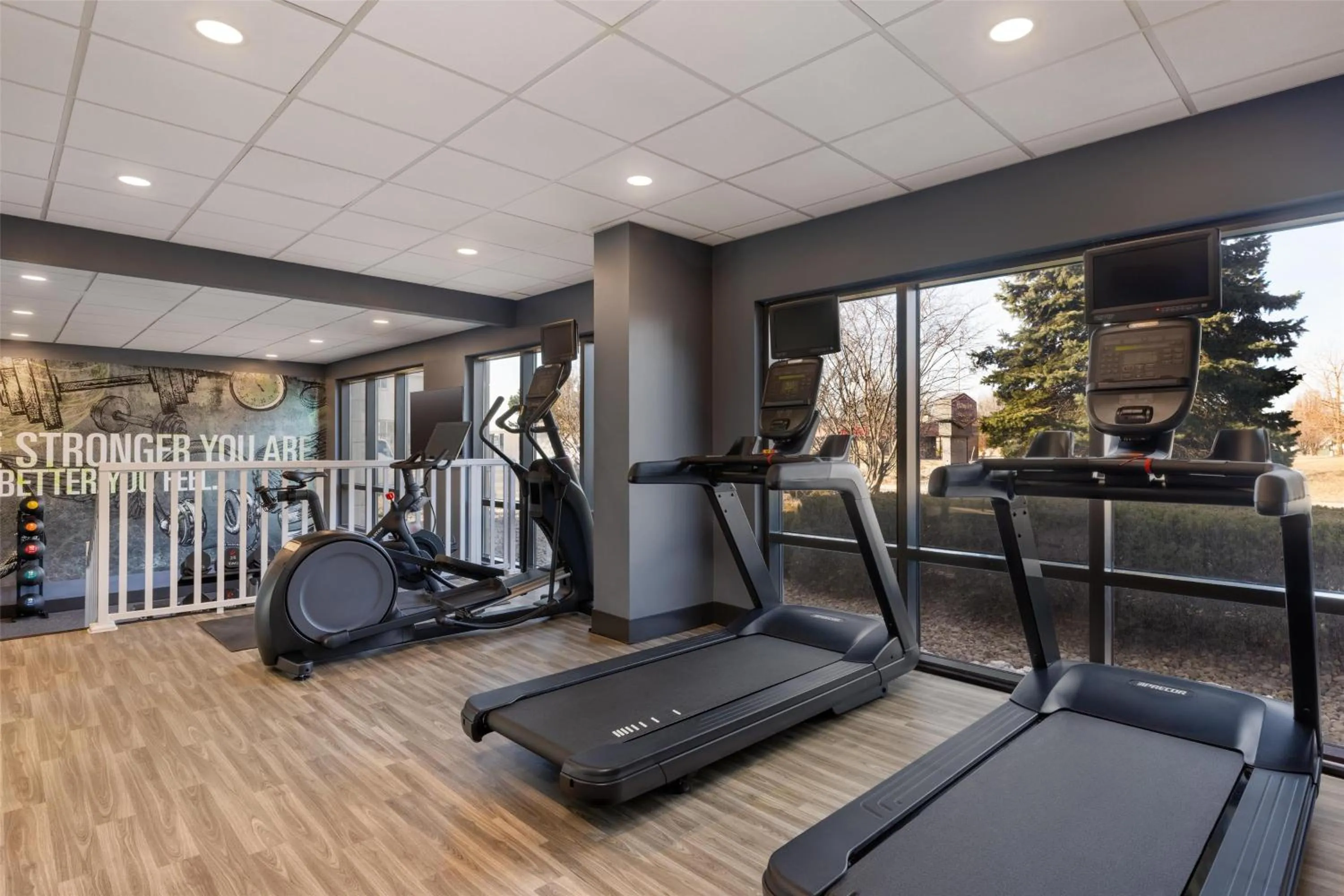 Fitness centre/facilities in Hampton Inn & Suites by Hilton Windsor