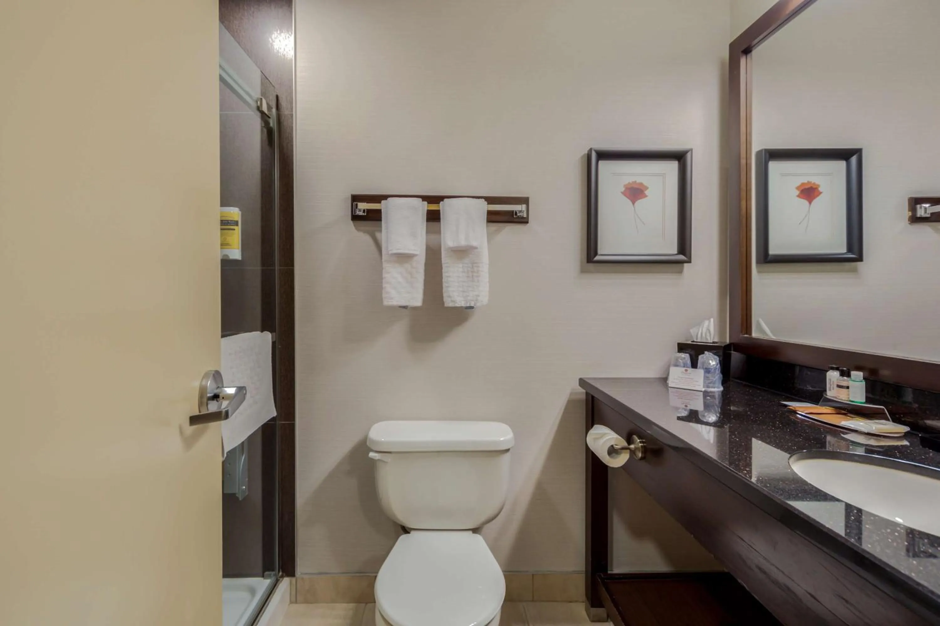 Bathroom in Best Western Premier Denham Inn & Suites