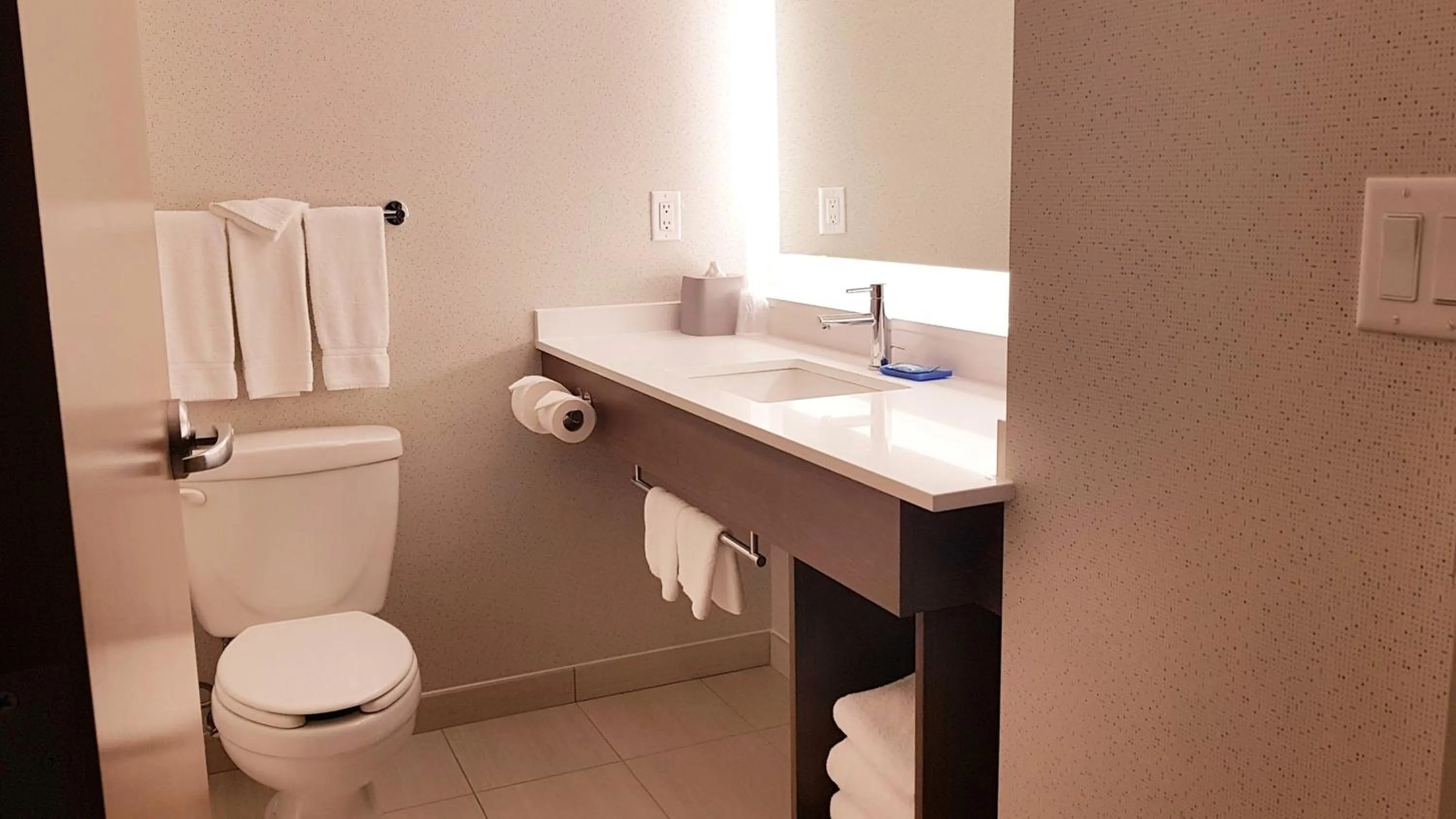 Bathroom in Holiday Inn Express and Suites Surrey by IHG
