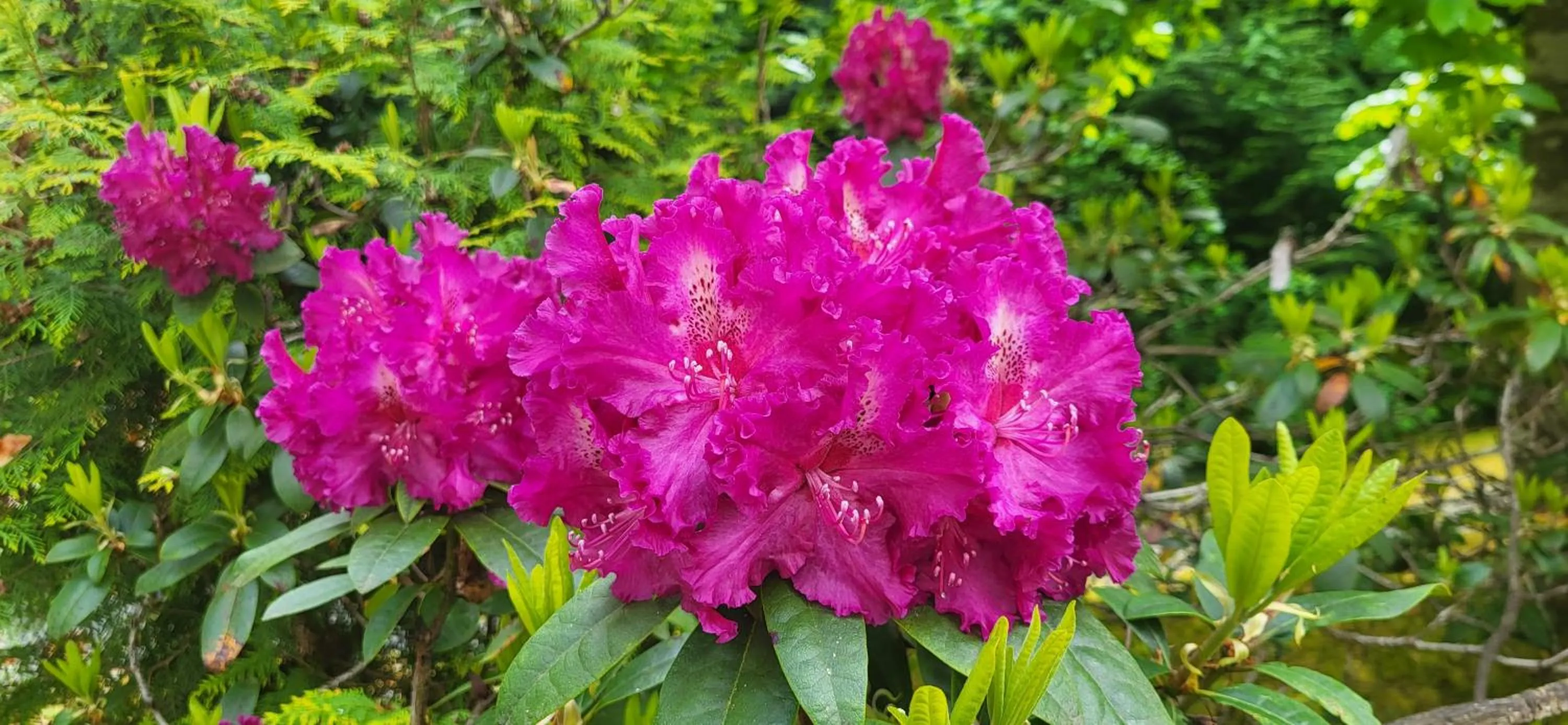 Property building in Holiday Inn Express and Suites Surrey by IHG