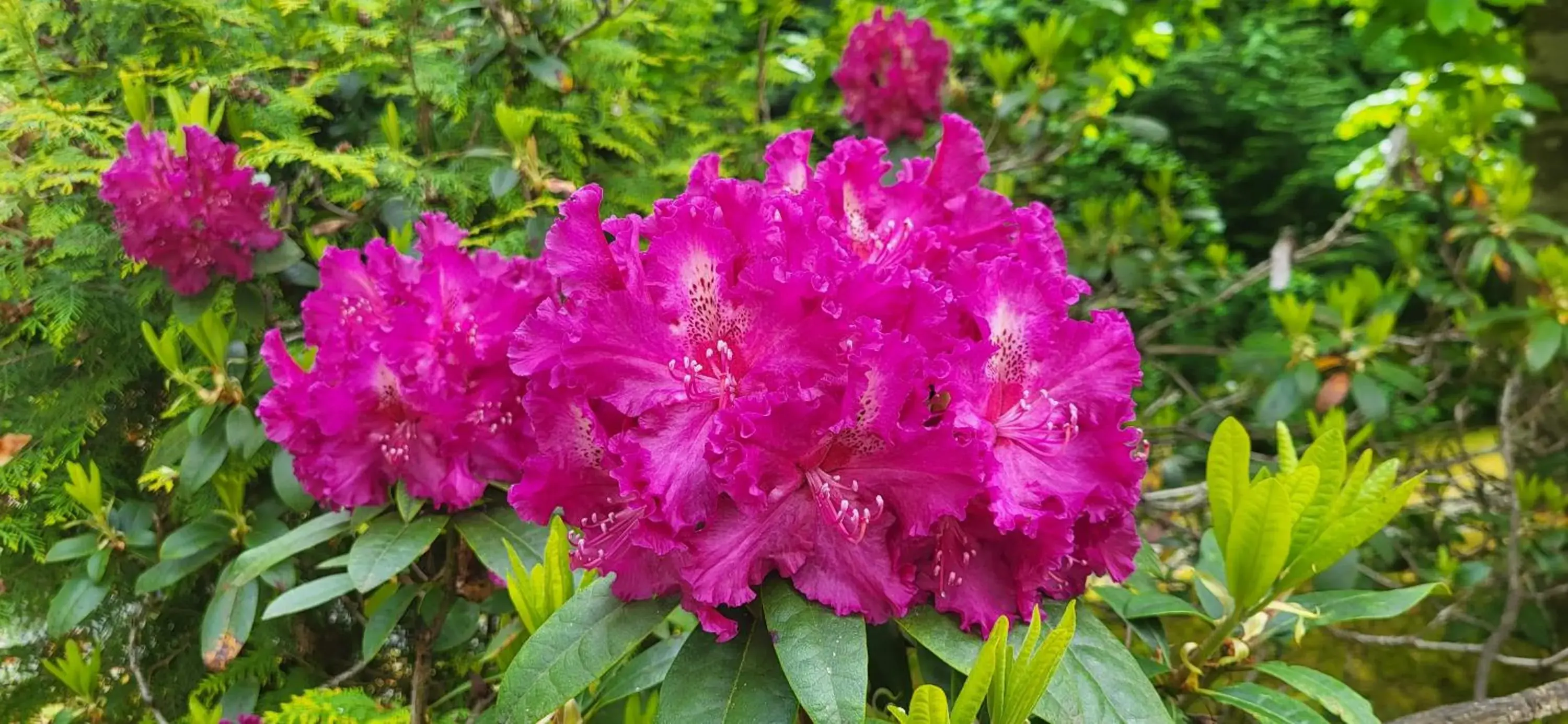 Property building in Holiday Inn Express and Suites Surrey by IHG Property building in Holiday Inn Express and Suites Surrey by IHG