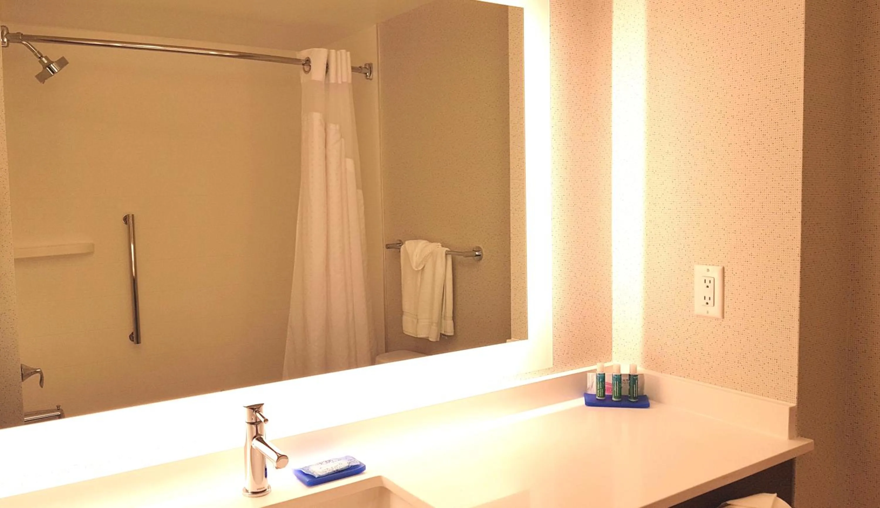 Holiday Inn Express and Suites Surrey by IHG