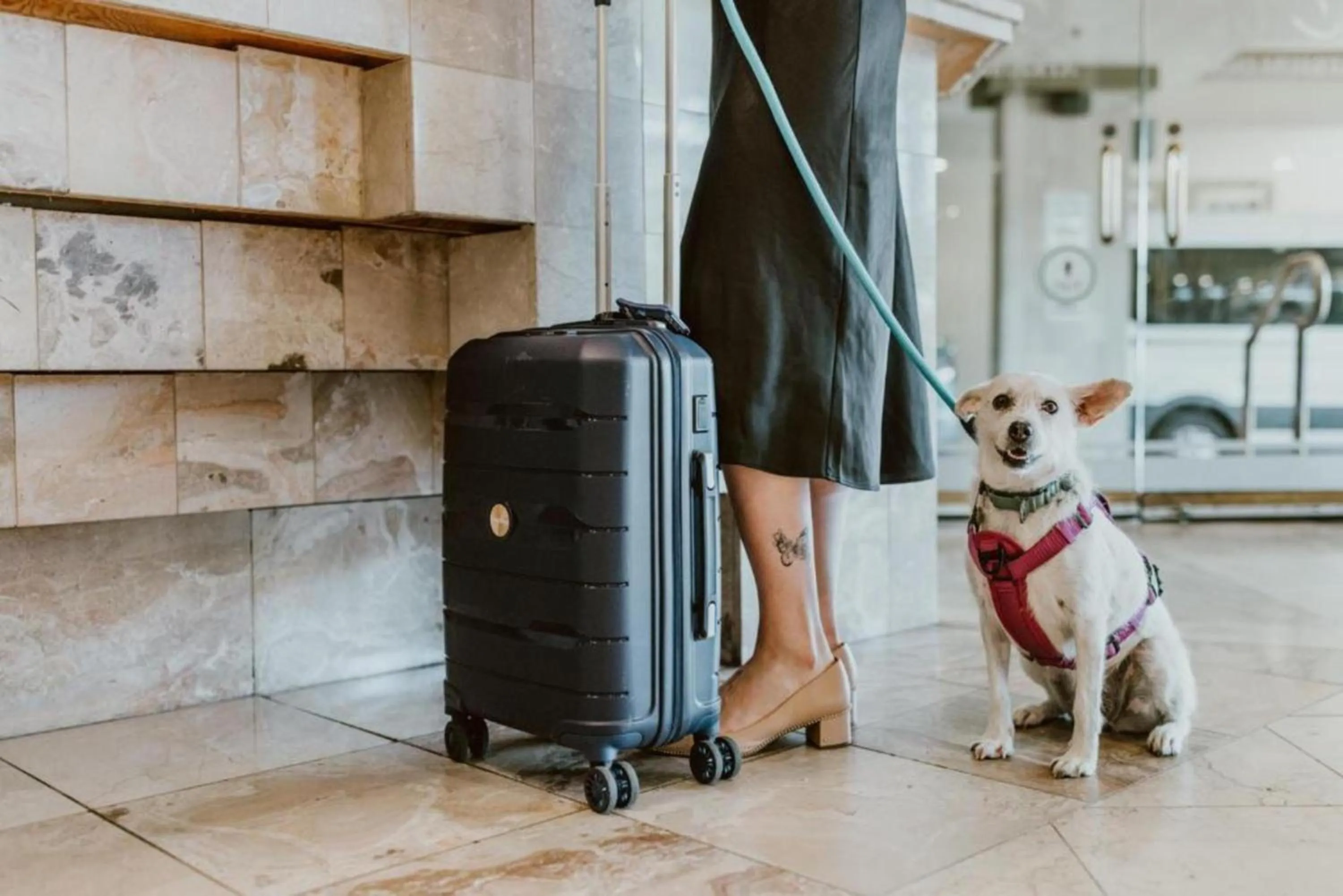 pet friendly in Atrium Hotel Vancouver