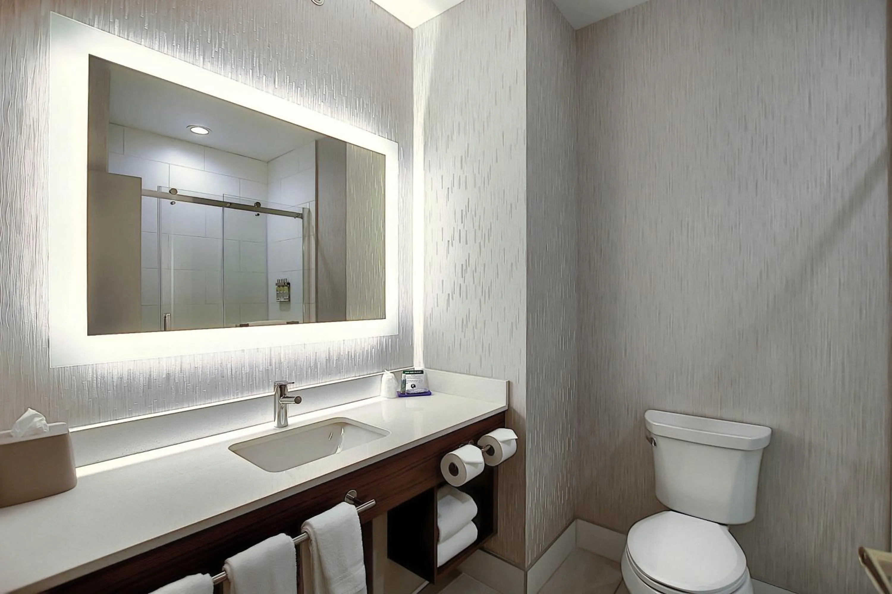 Bathroom in Holiday Inn Express Airport Calgary by IHG
