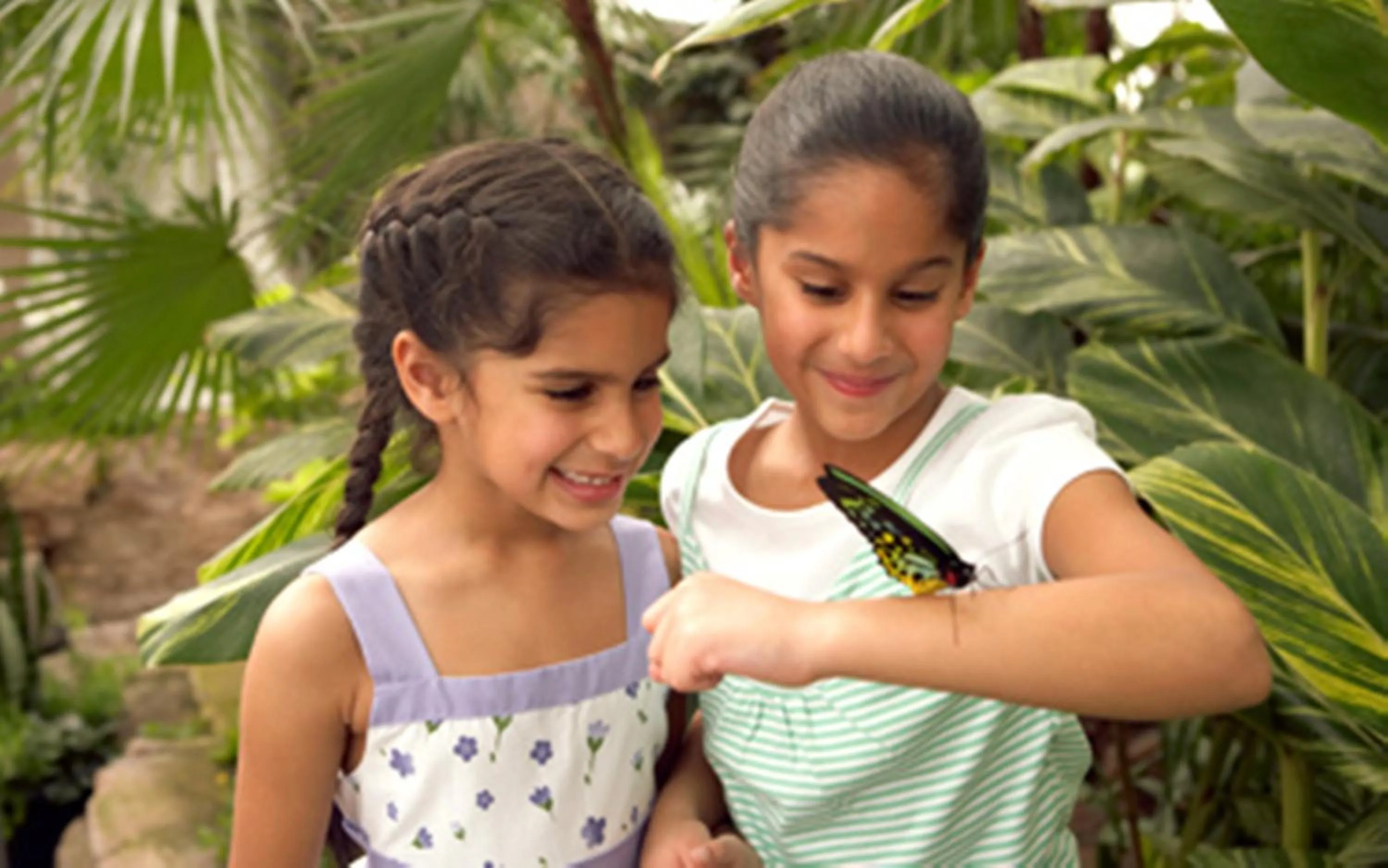 Nearby landmark in Holiday Inn Niagara Falls-By the Falls by IHG