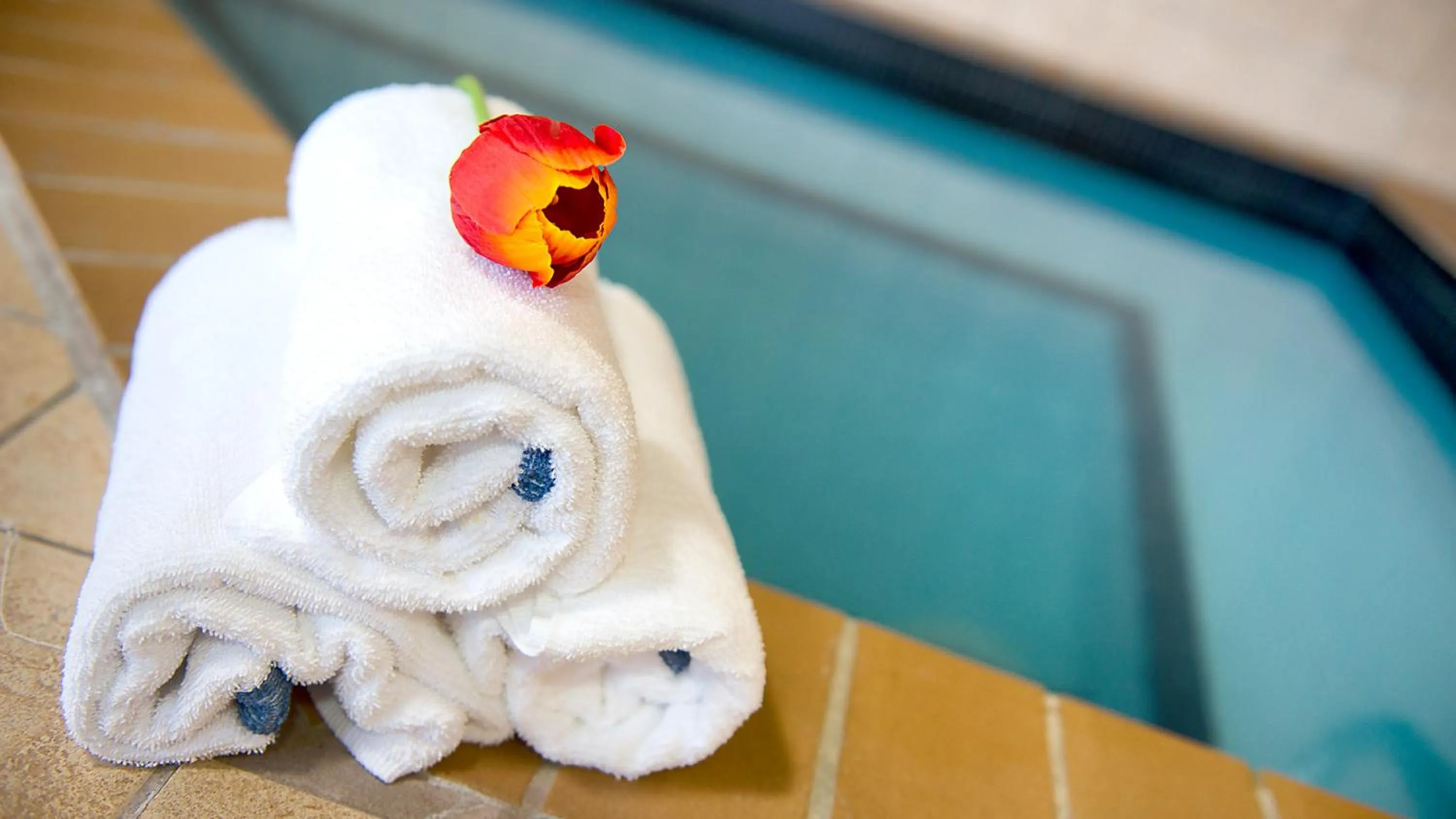 Swimming pool in Holiday Inn & Suites Mississauga West - Meadowvale by IHG