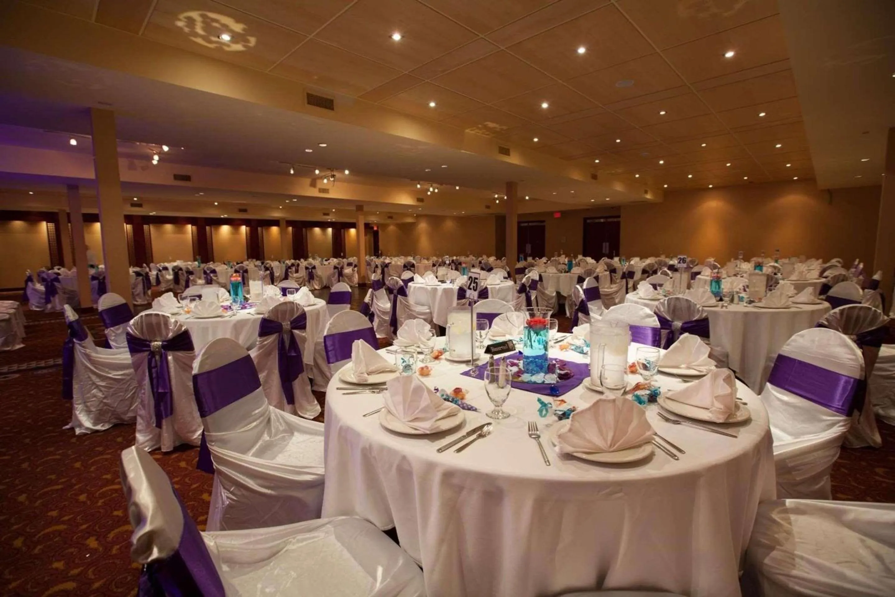 Meeting/conference room in Edmonton Hotel & Convention Center Edmonton