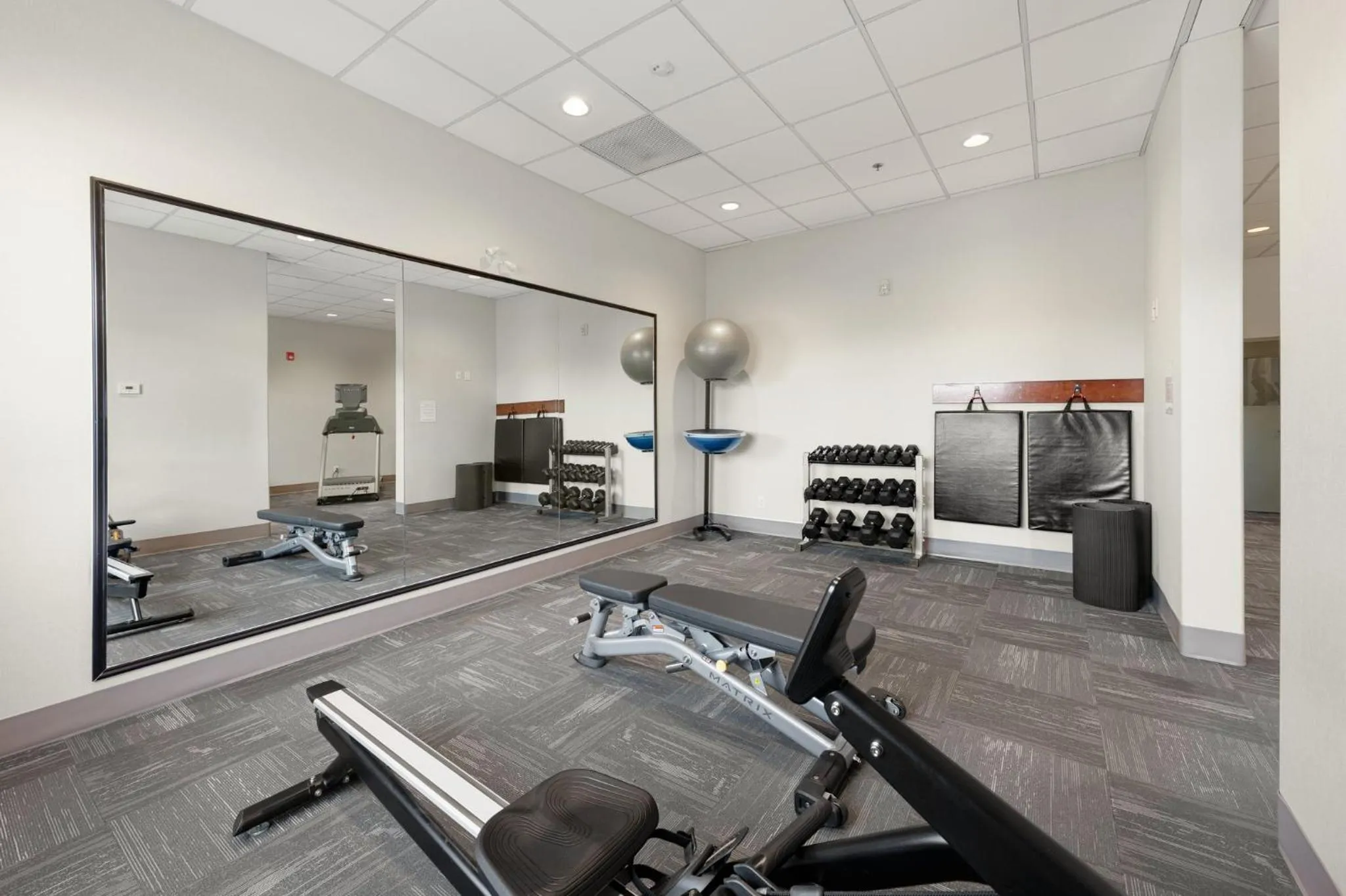 Fitness centre/facilities in Holiday Inn Express Hotel & Suites-Edmonton South by IHG
