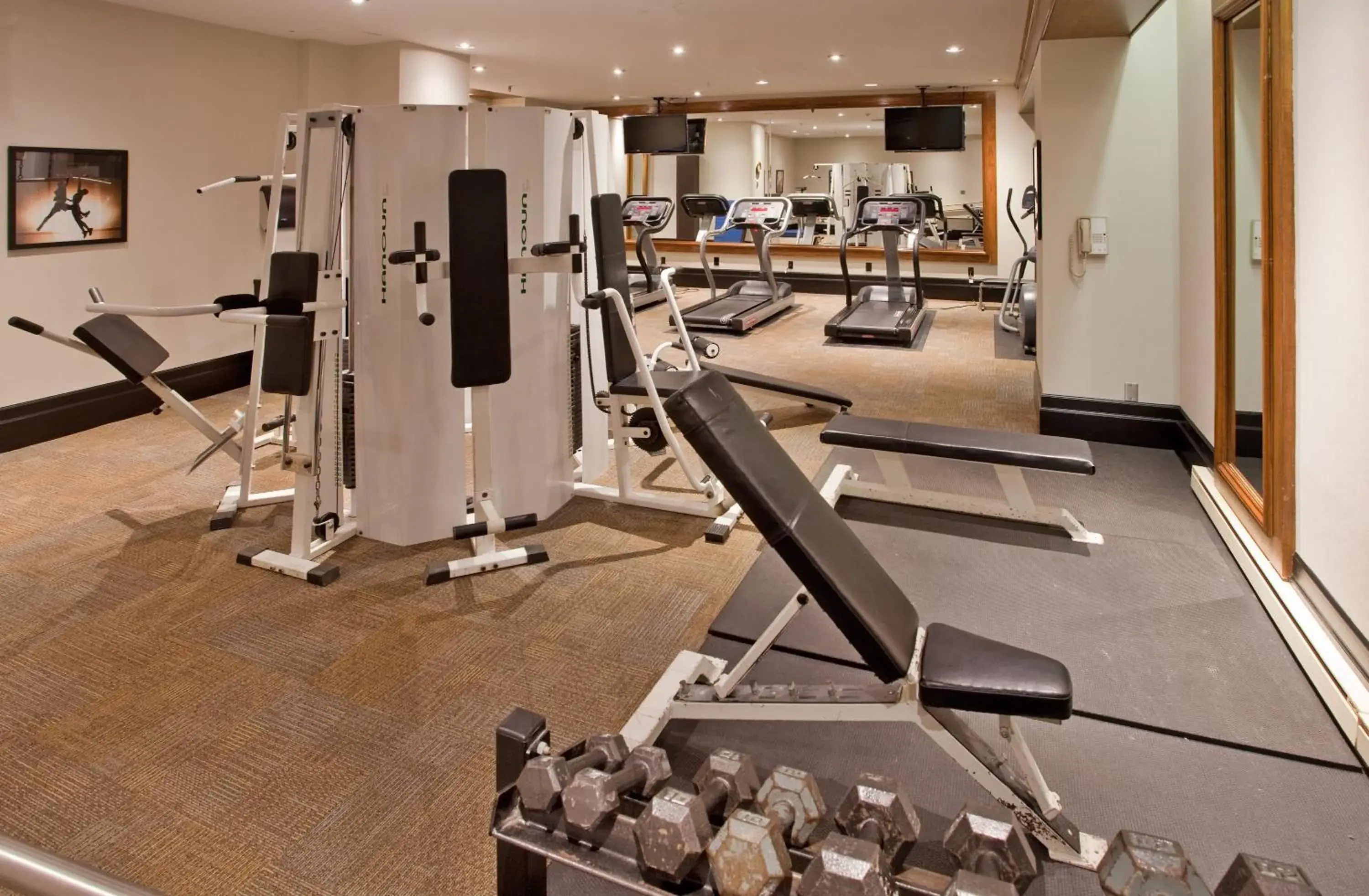 Fitness centre/facilities, Fitness Center/Facilities in Crowne Plaza Gatineau-Ottawa