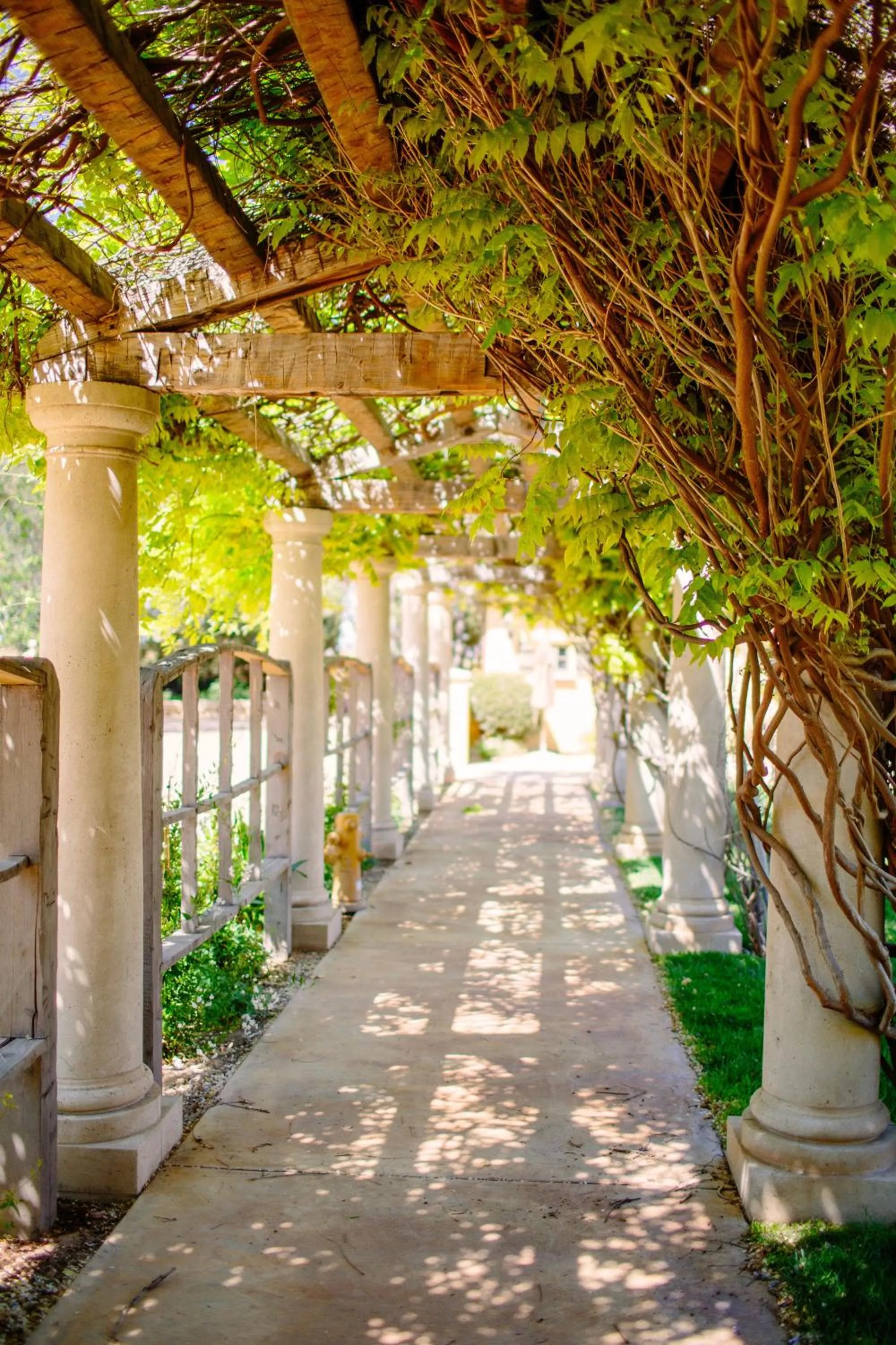 Garden in CaliPaso Winery & Villa